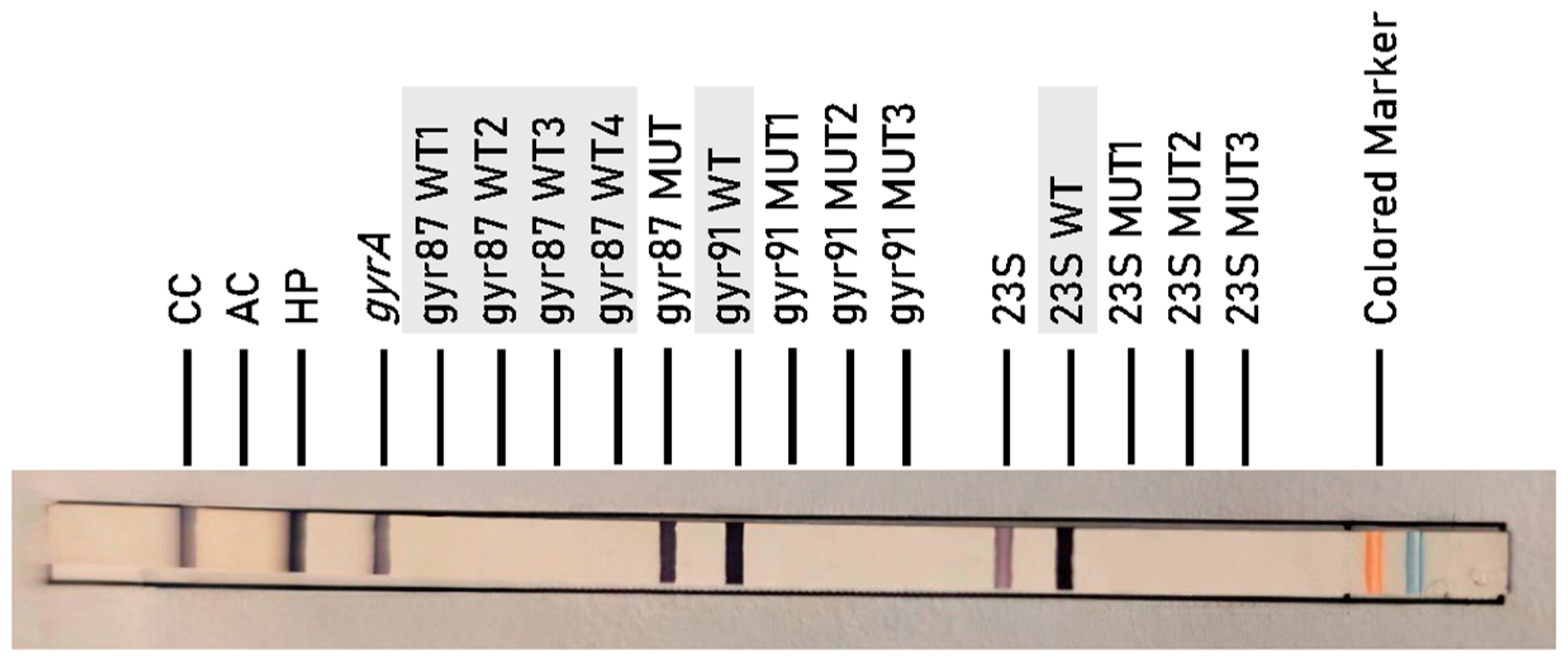 Antibiotics 14 01223 g003 Antibiotics 14 01223 g003