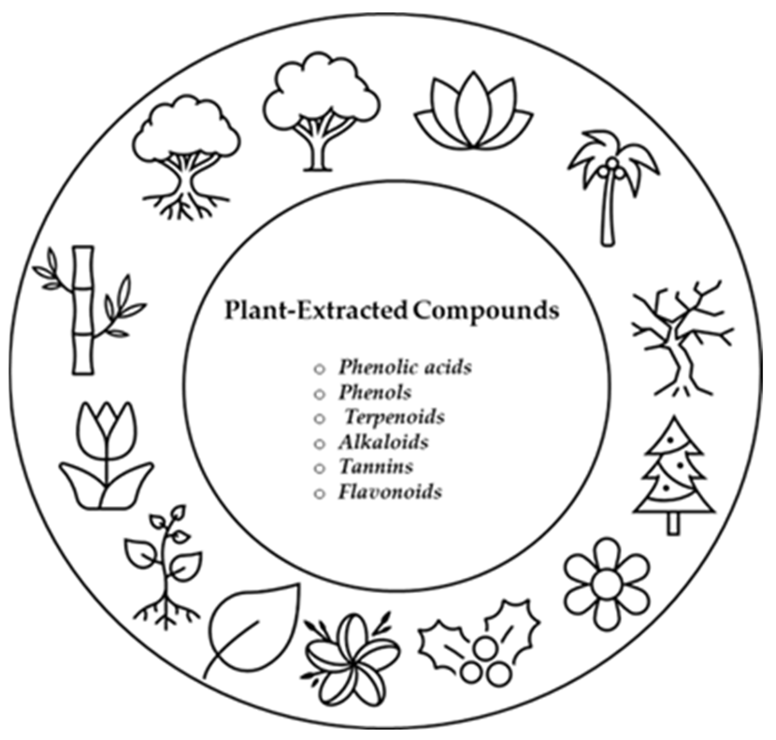 Antibiotics 14 01226 g001