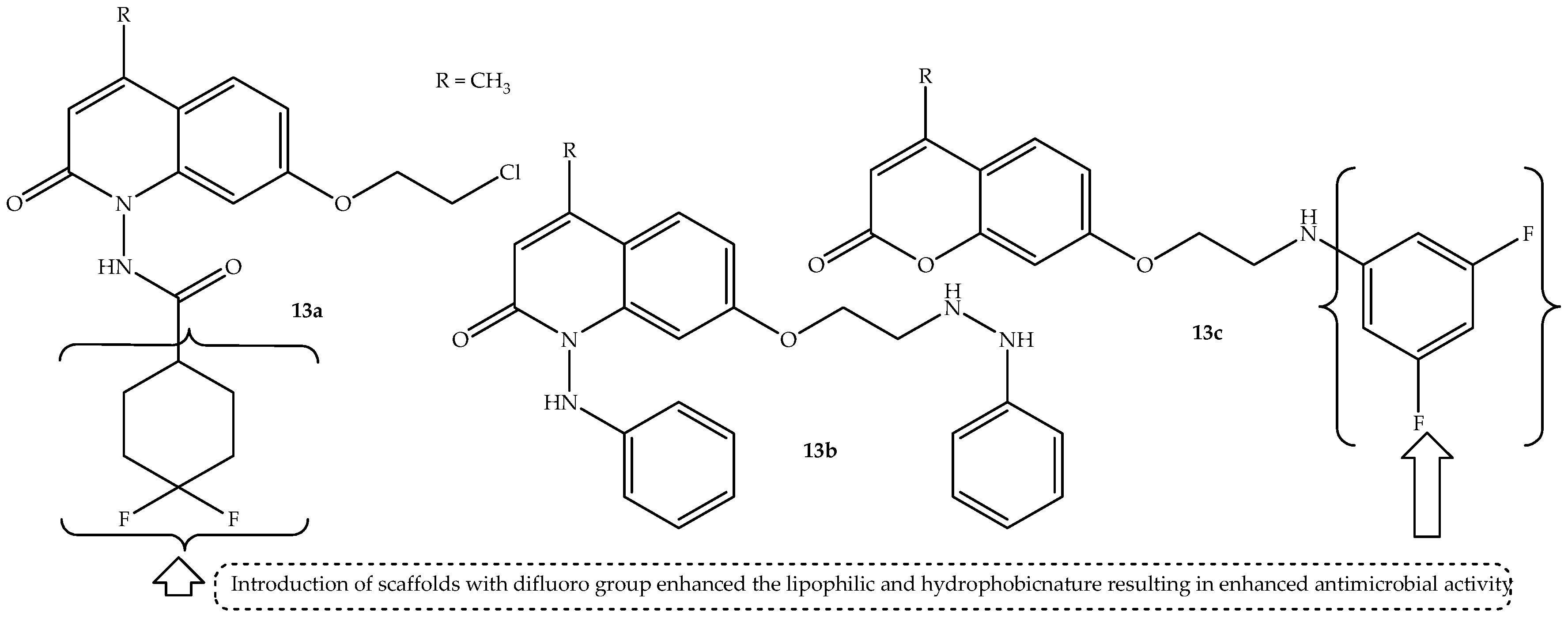 Antibiotics 14 01226 g017