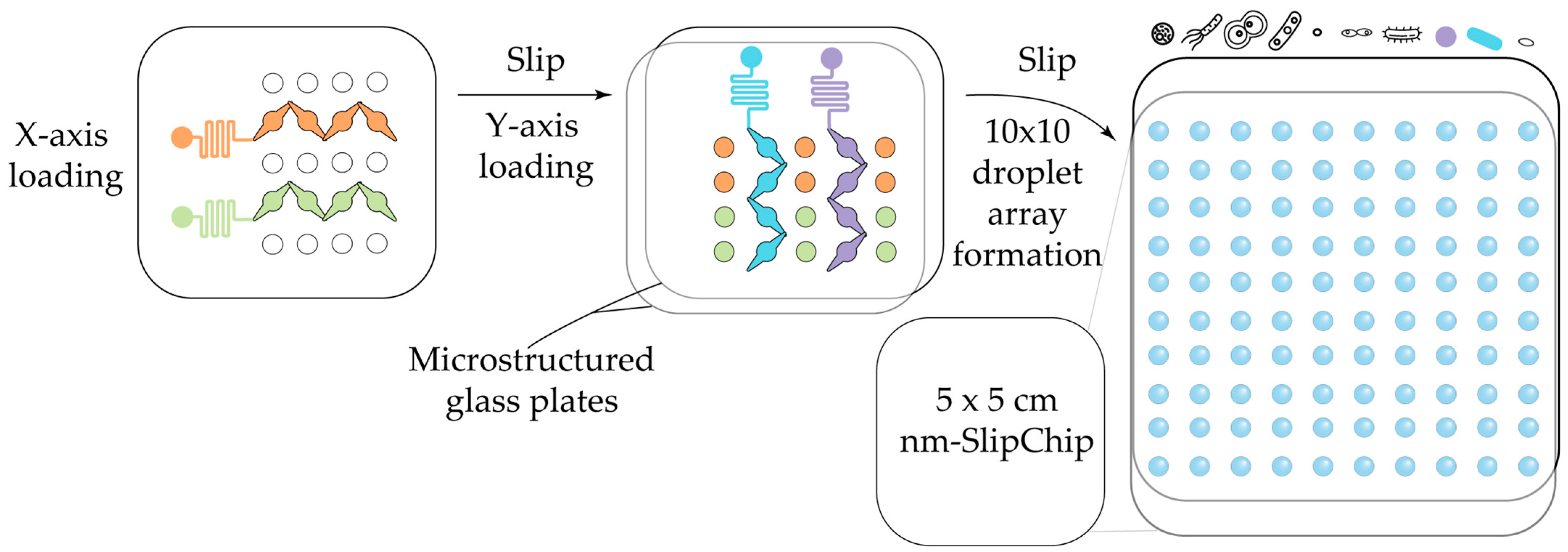 Antibiotics 14 01232 g007 Antibiotics 14 01232 g007