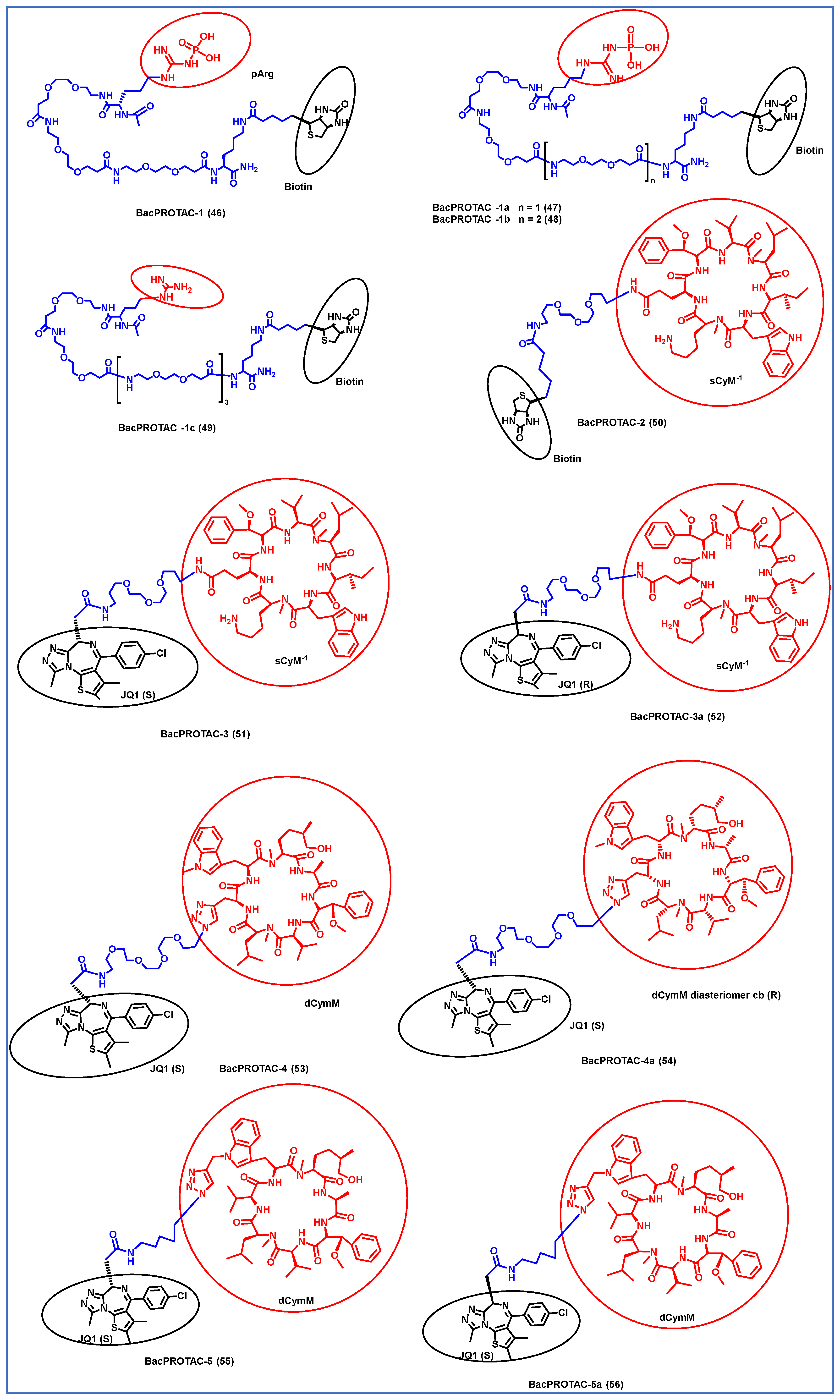 Antibiotics 14 01237 g007 Antibiotics 14 01237 g007