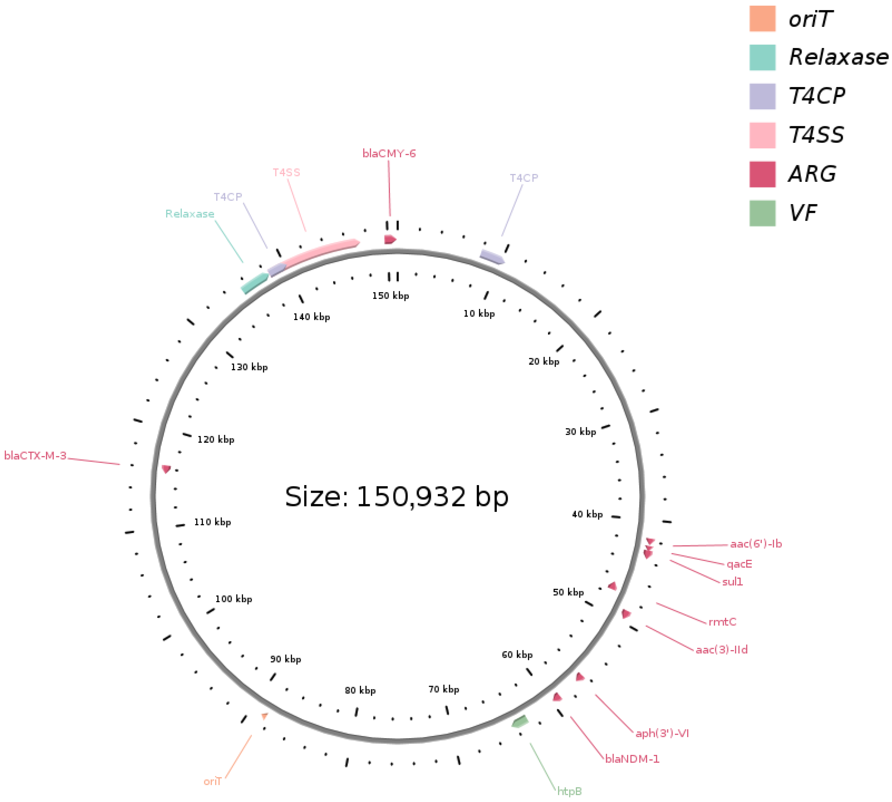 Antibiotics 14 01238 g002 Antibiotics 14 01238 g002