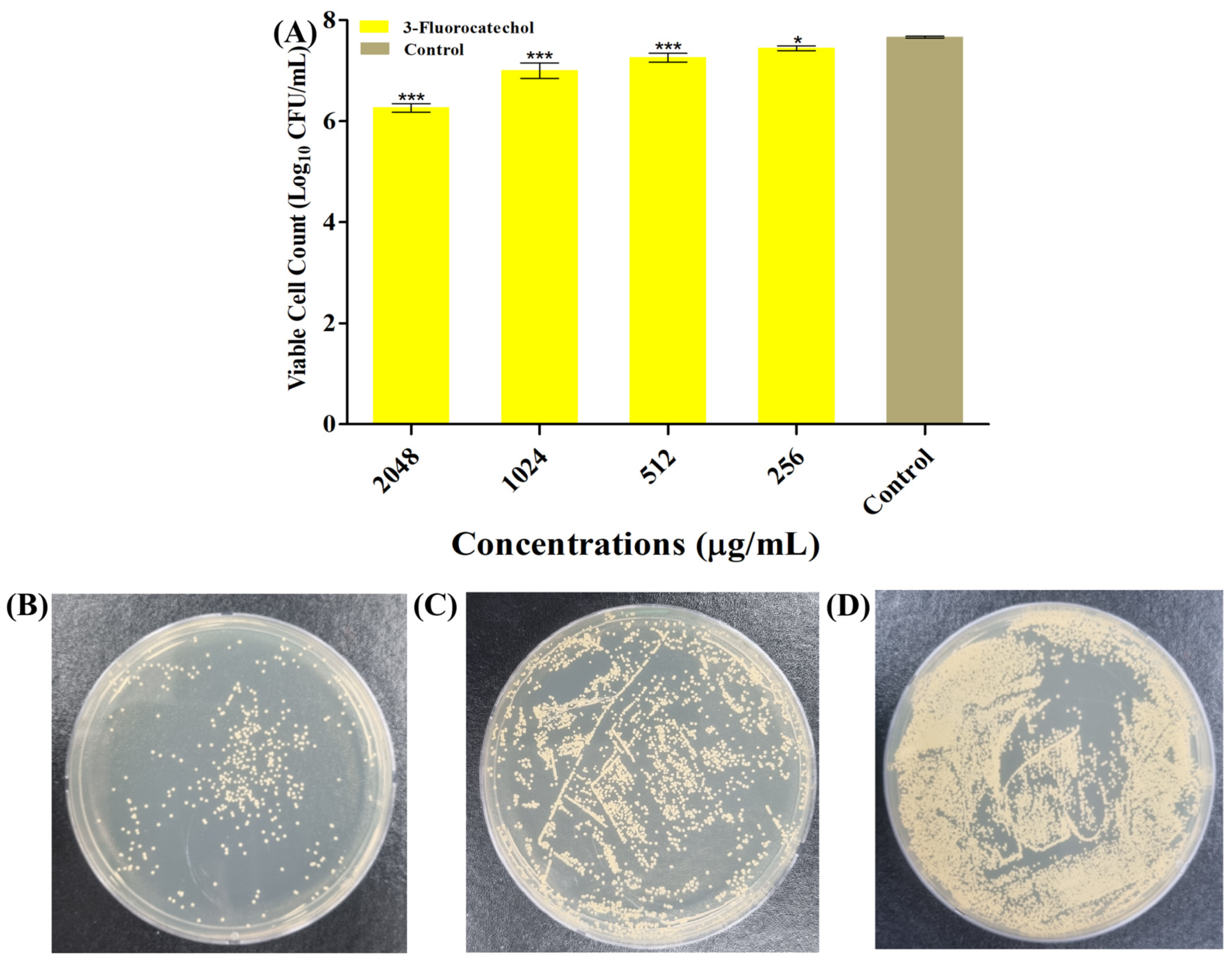 Antibiotics 14 01240 g002