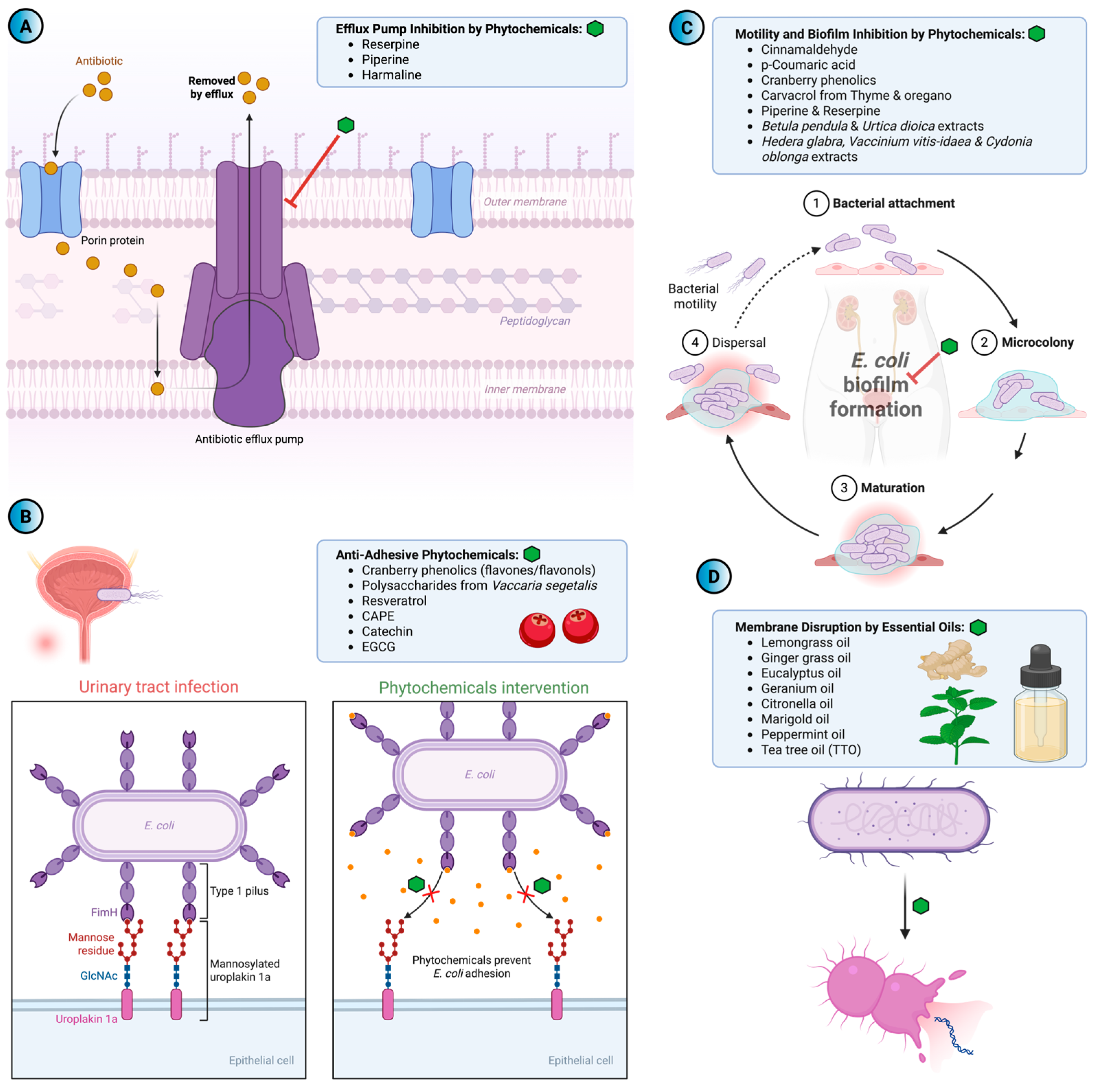 Antibiotics 14 01242 g004 Antibiotics 14 01242 g004