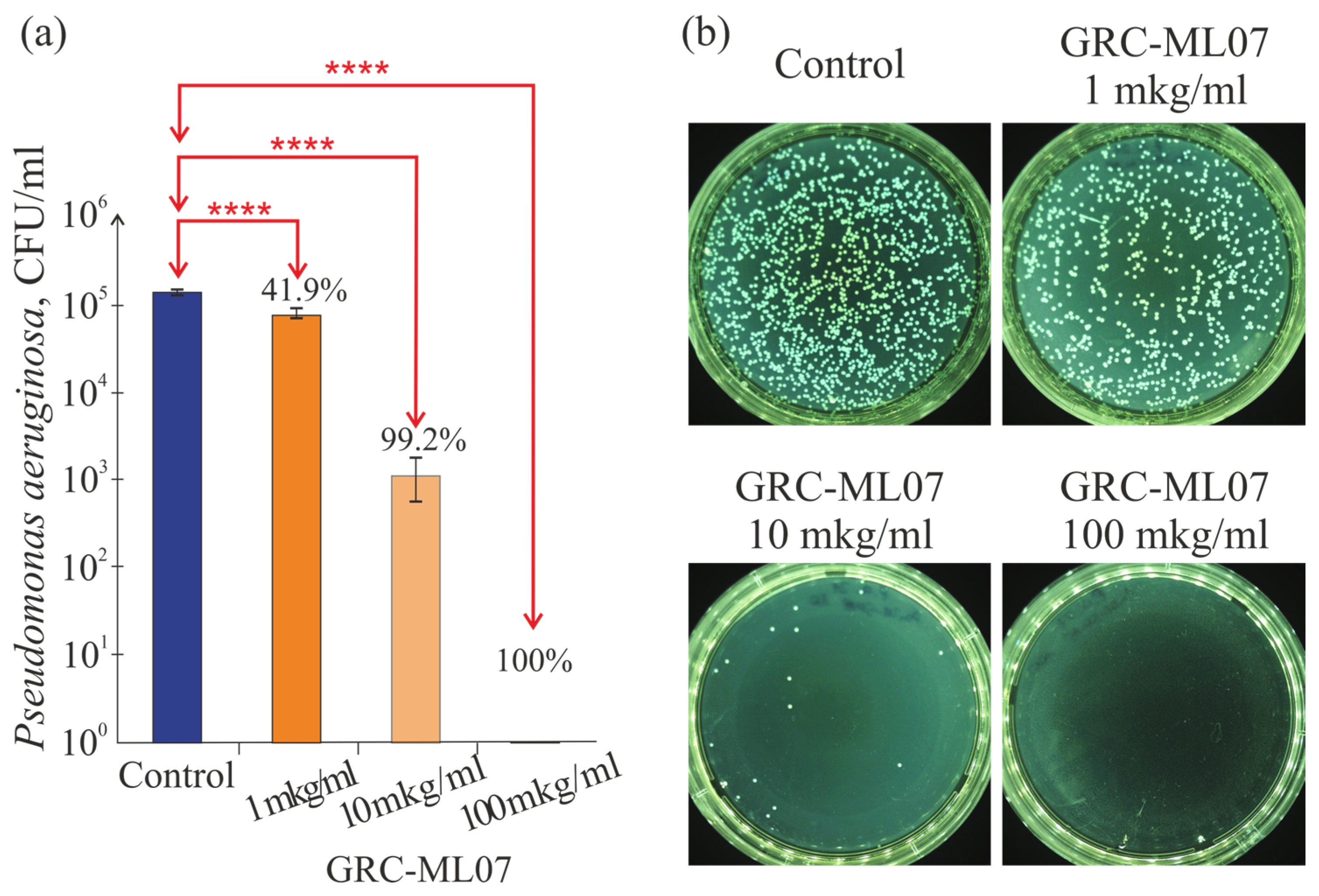 Antibiotics 14 01248 g001