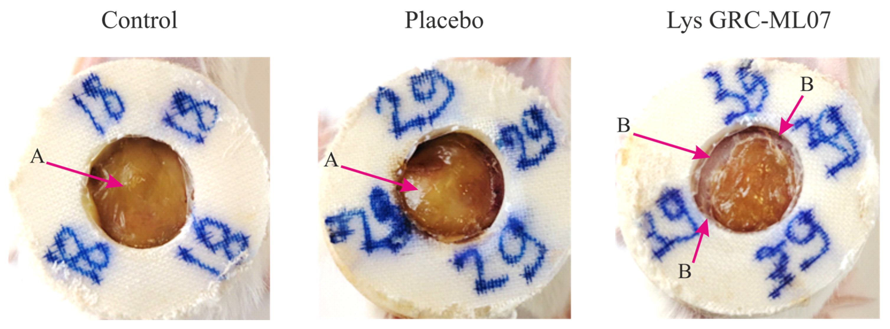 Antibiotics 14 01248 g005