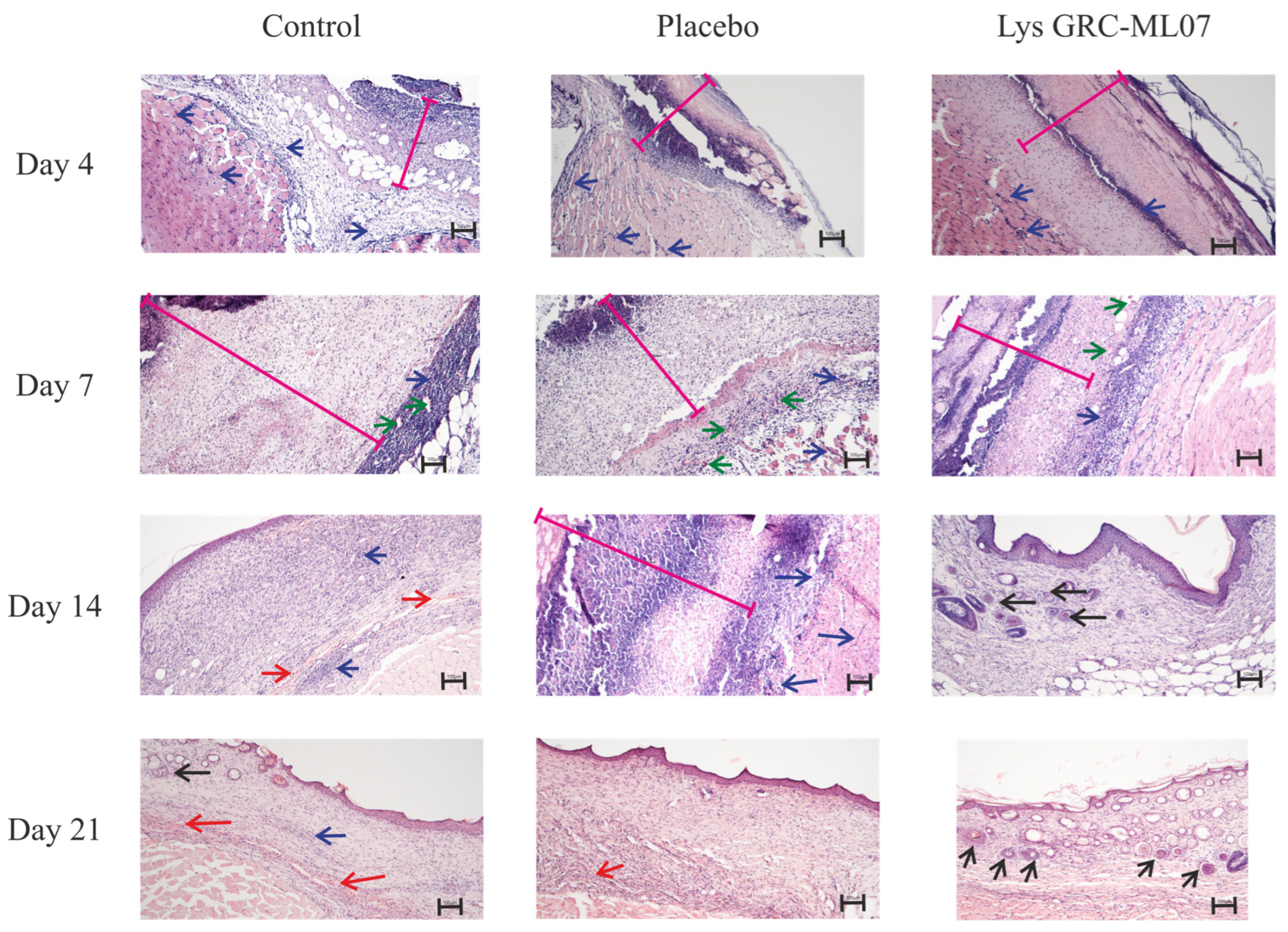 Antibiotics 14 01248 g006