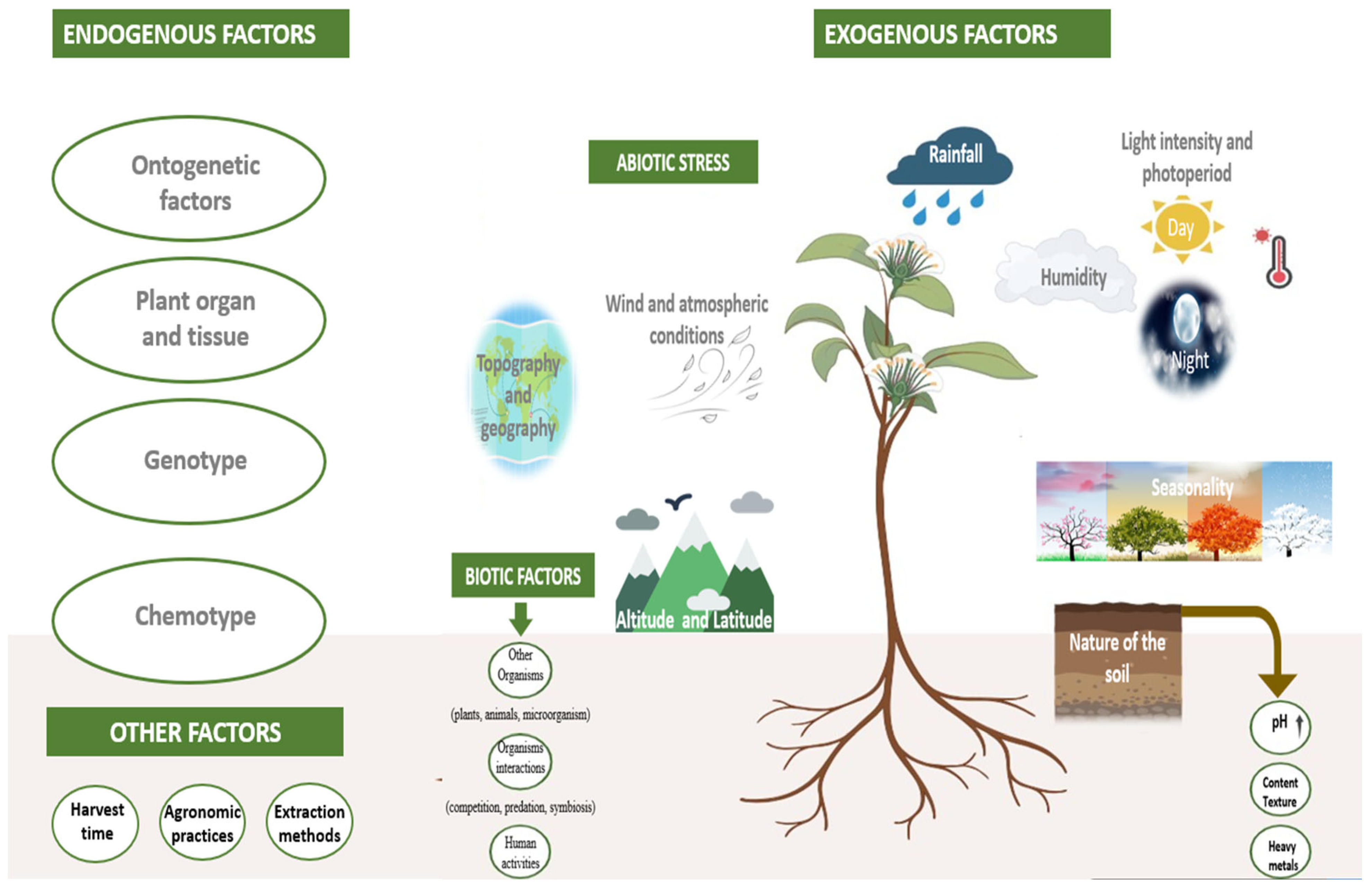 Antibiotics 14 01250 g001 Antibiotics 14 01250 g001