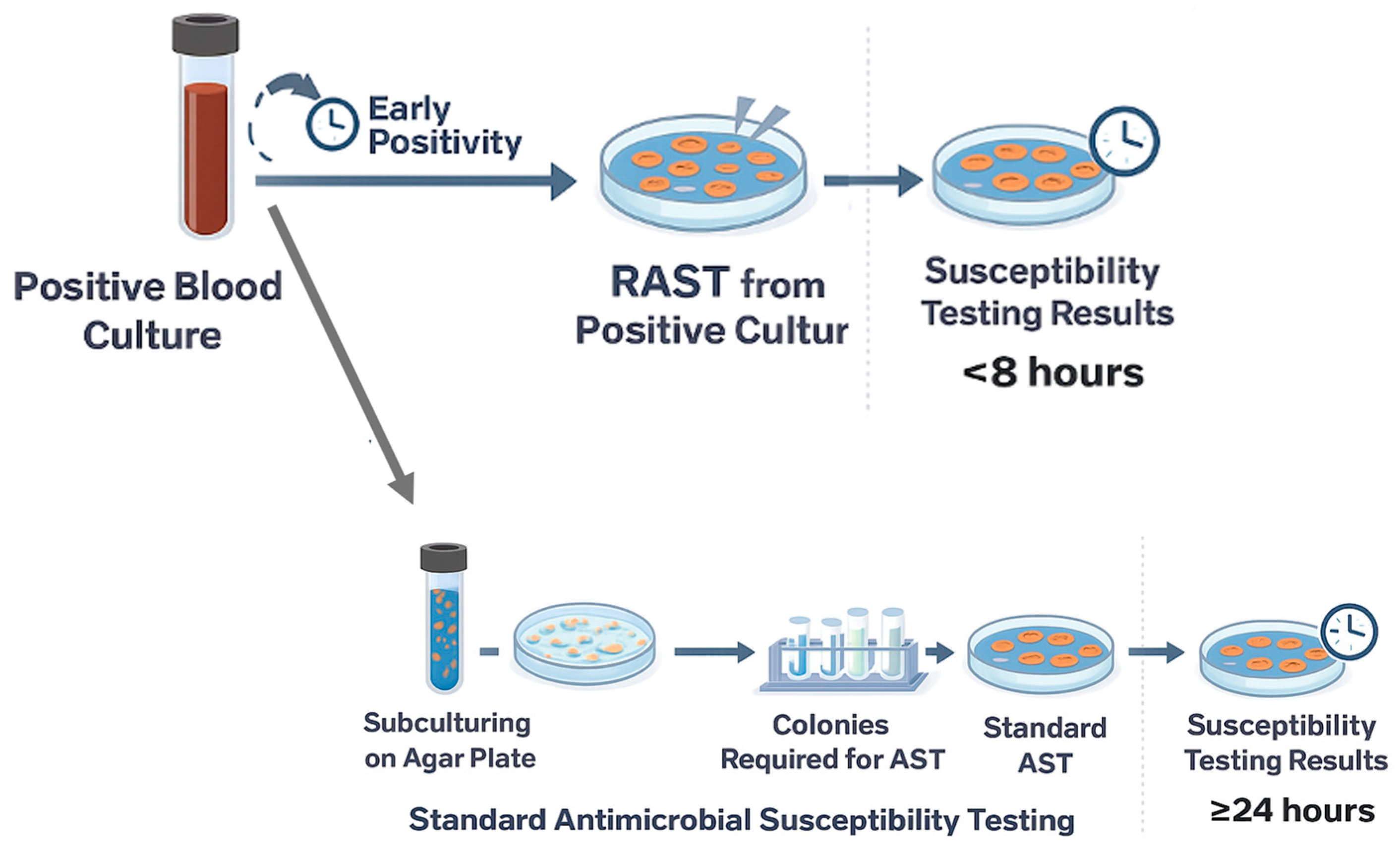 Antibiotics 14 01251 g001