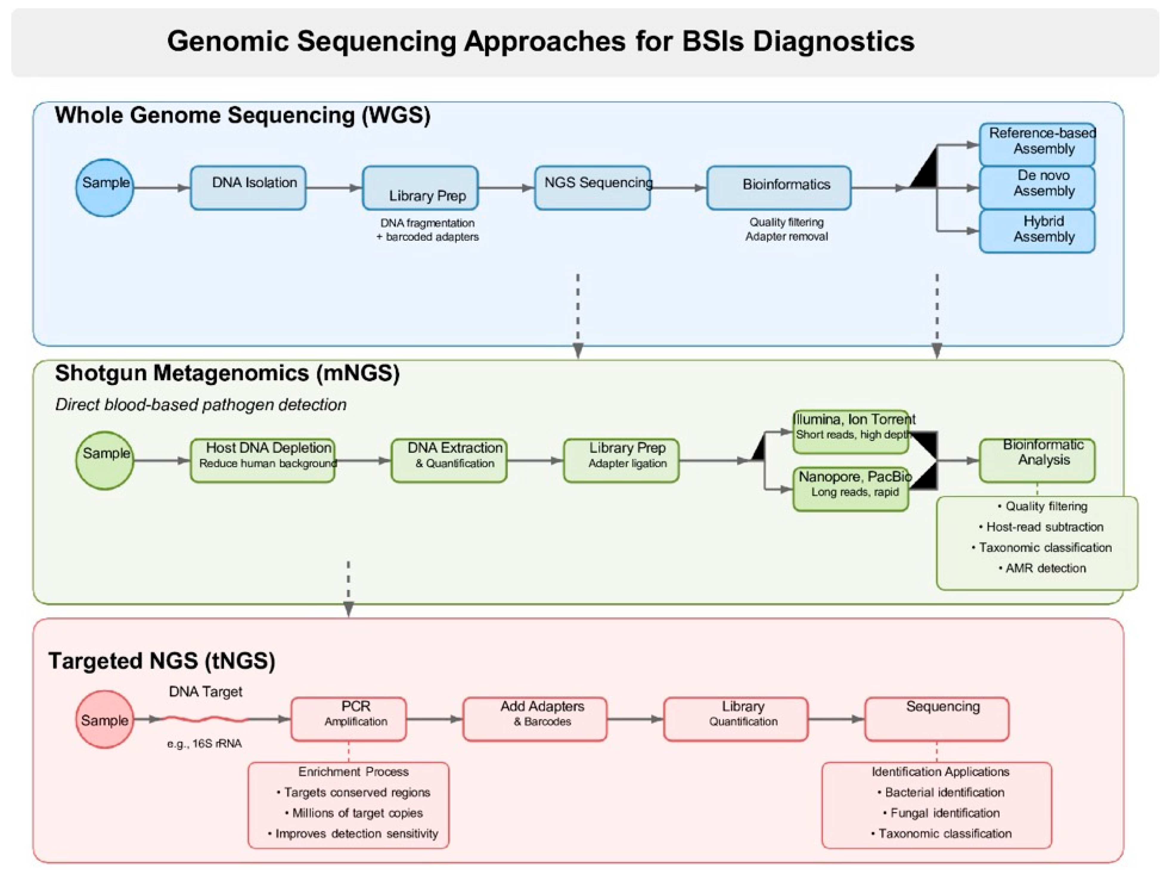 Antibiotics 14 01257 g001
