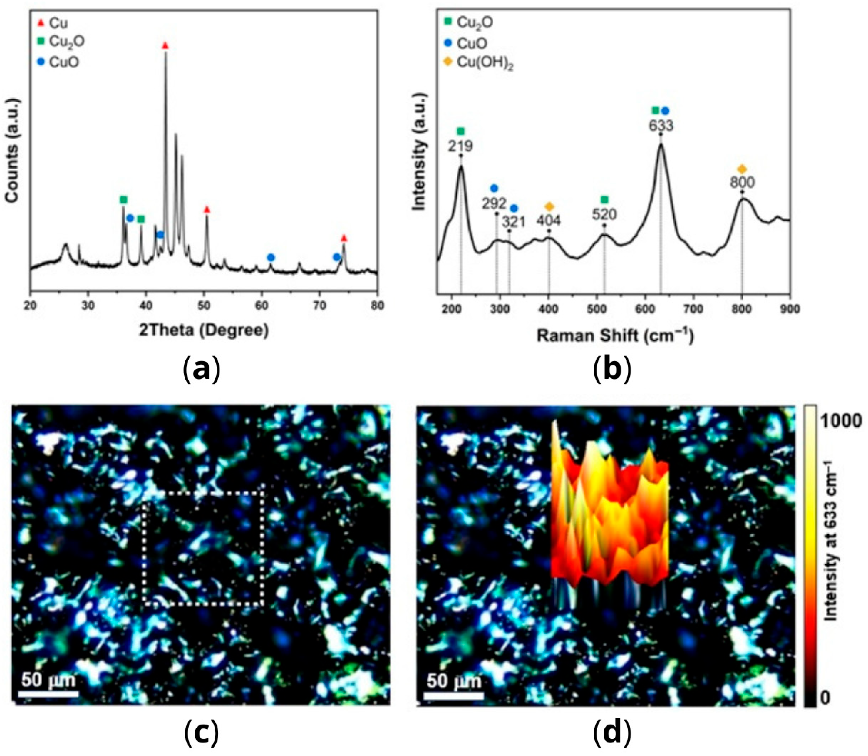 Antibiotics 14 01262 g001