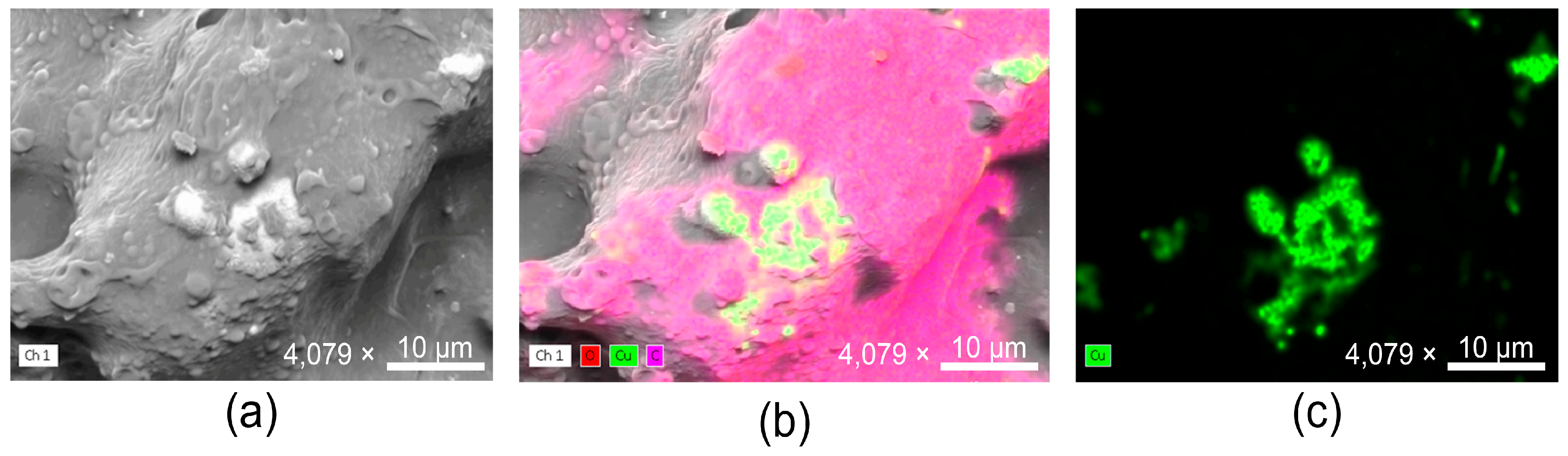 Antibiotics 14 01262 g002