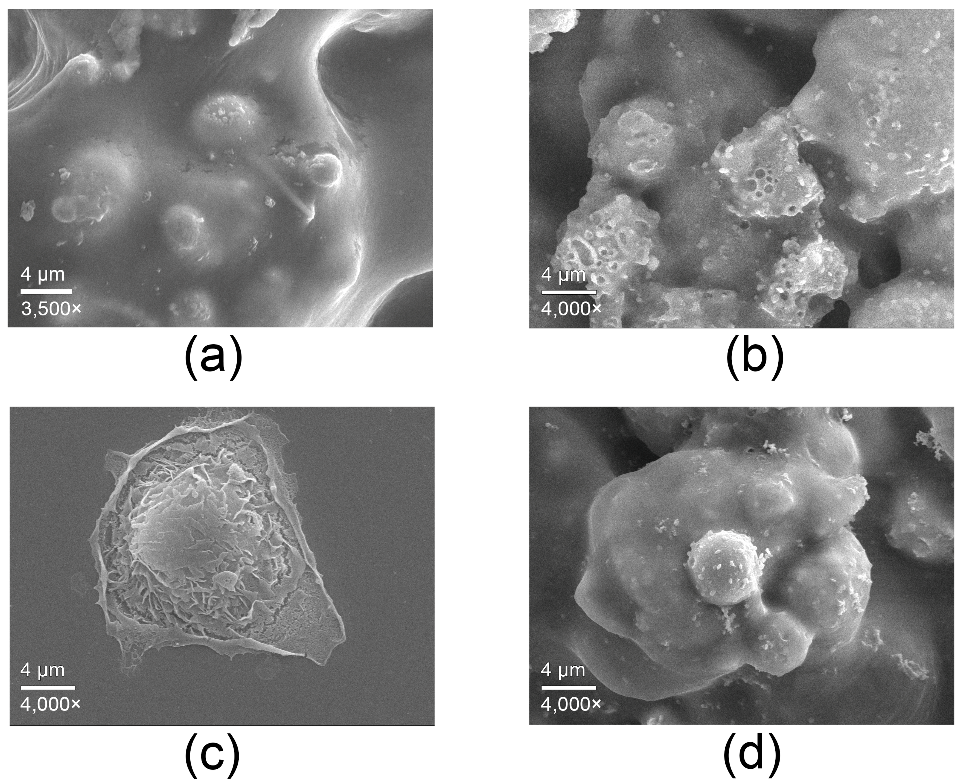 Antibiotics 14 01262 g004