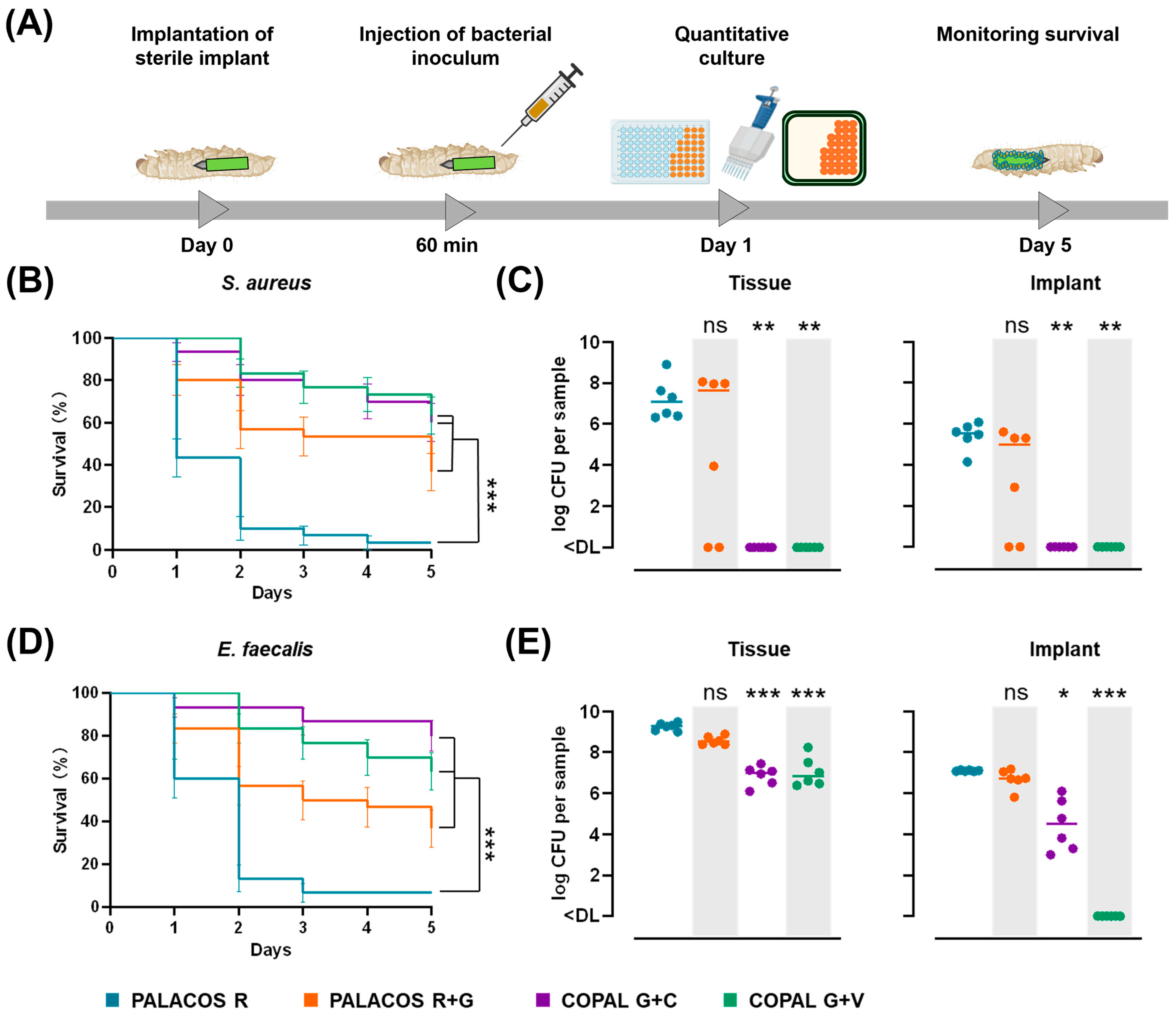 Antibiotics 14 01280 g005 Antibiotics 14 01280 g005