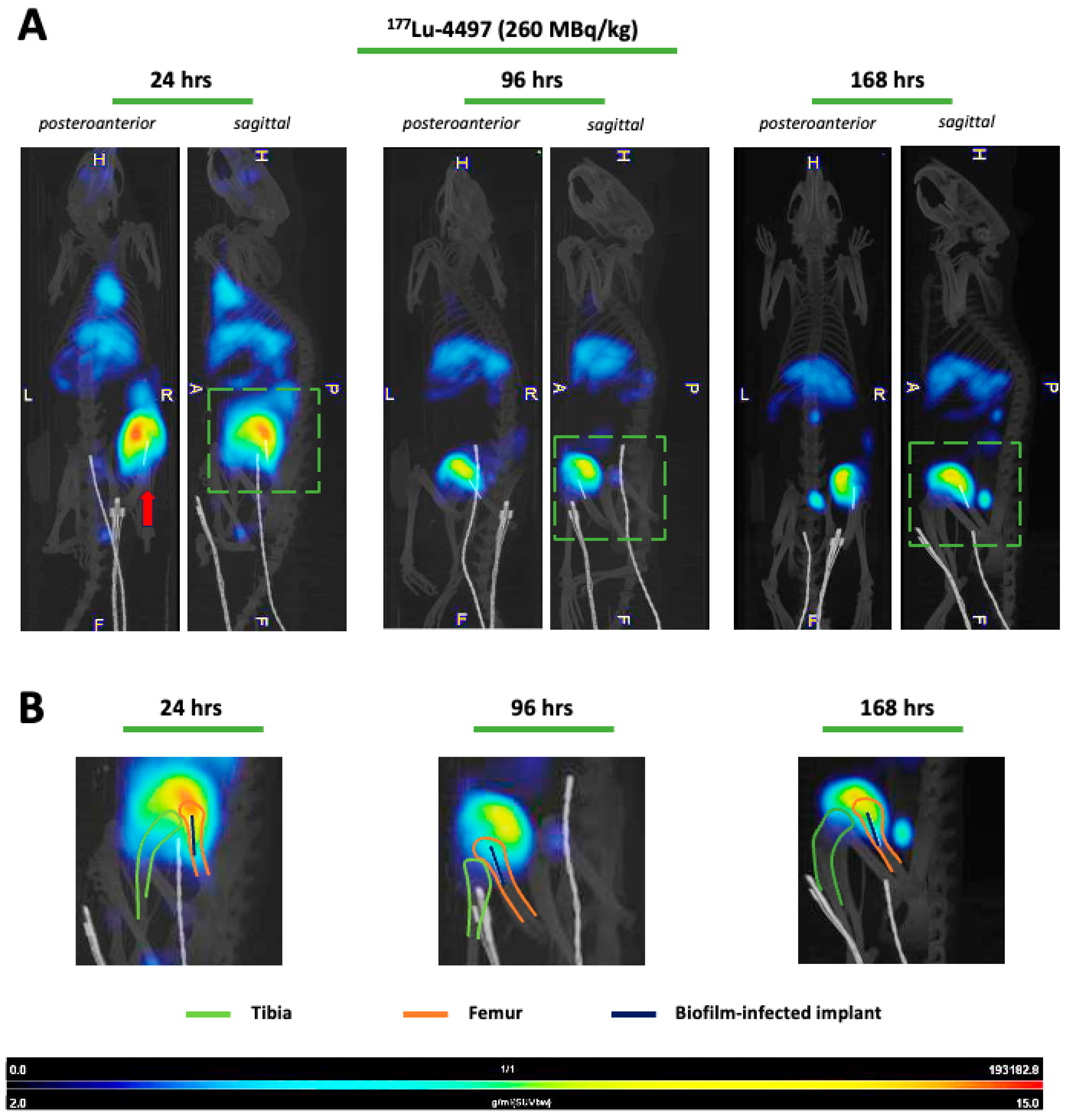 Antibiotics 14 01283 g003