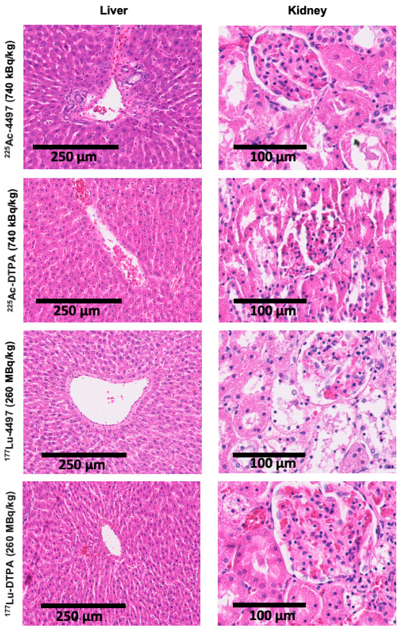 Antibiotics 14 01283 g007