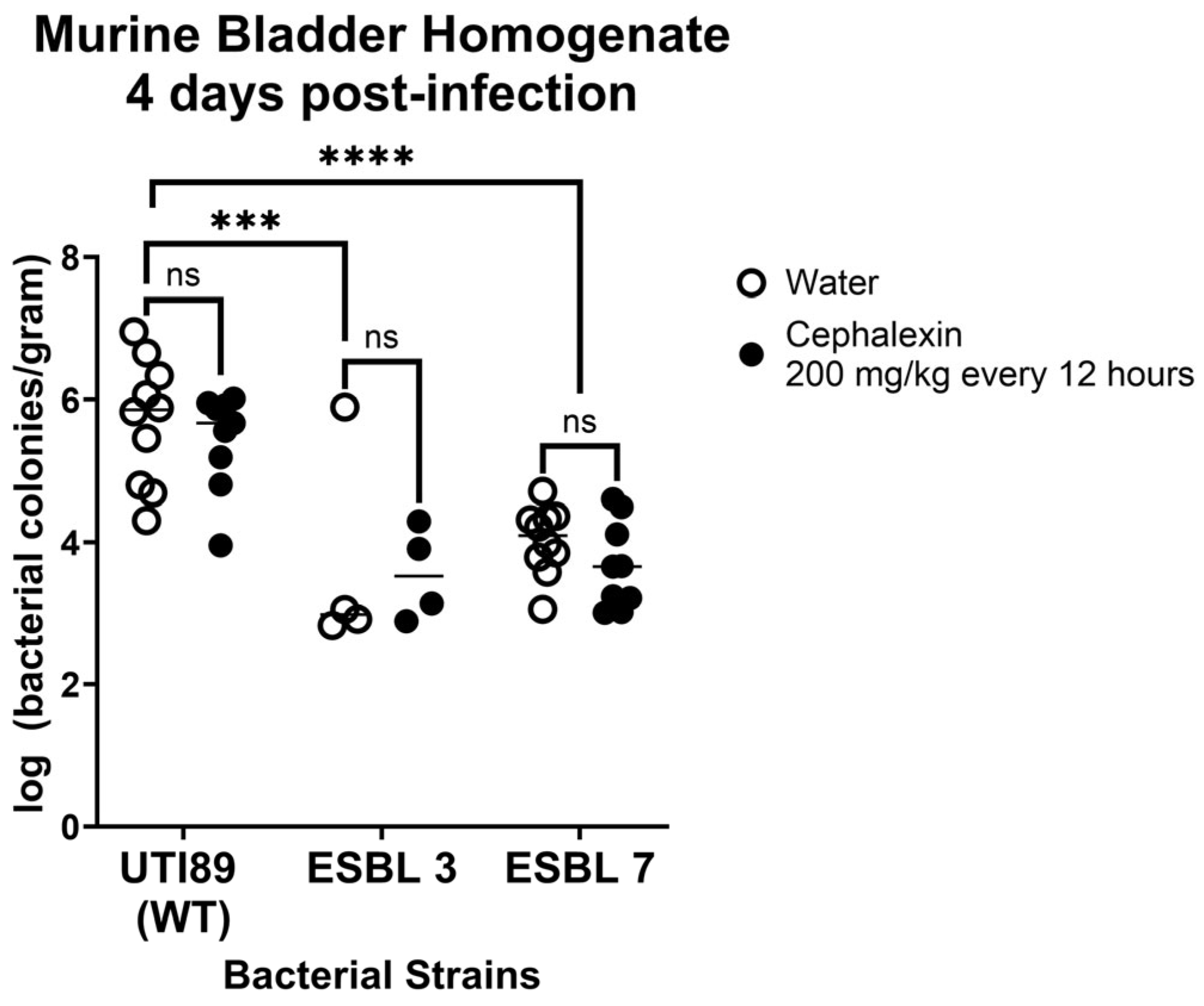 Antibiotics 14 01284 g002