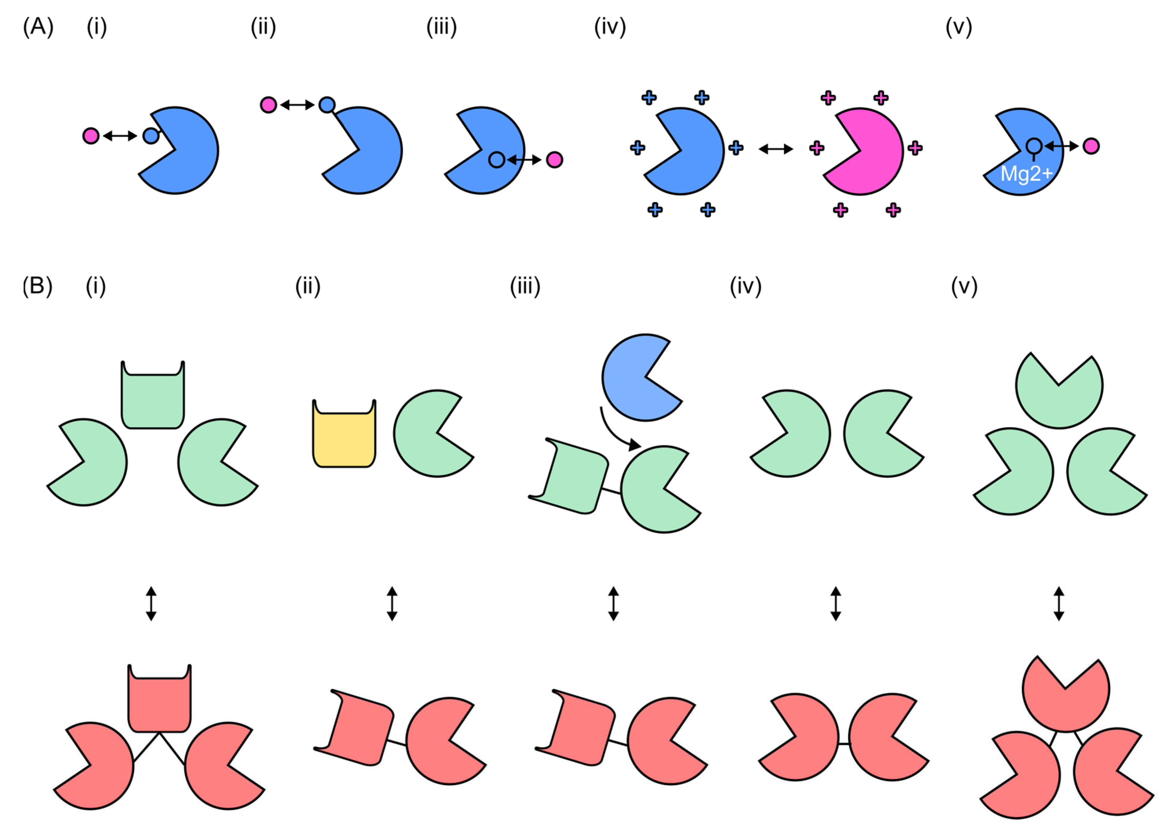 Antibiotics 14 01285 g005