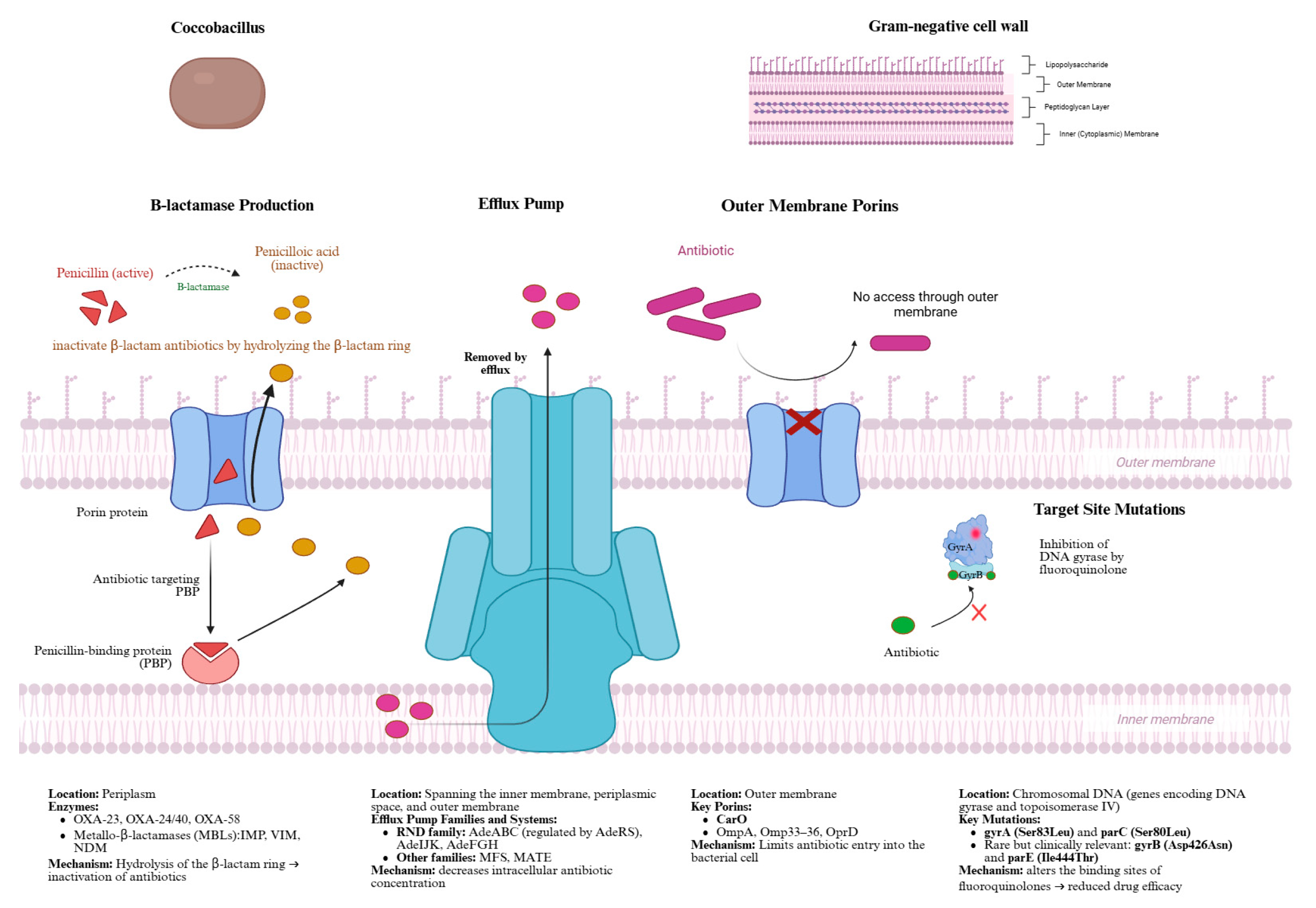 Antibiotics 15 00002 g002 Antibiotics 15 00002 g002