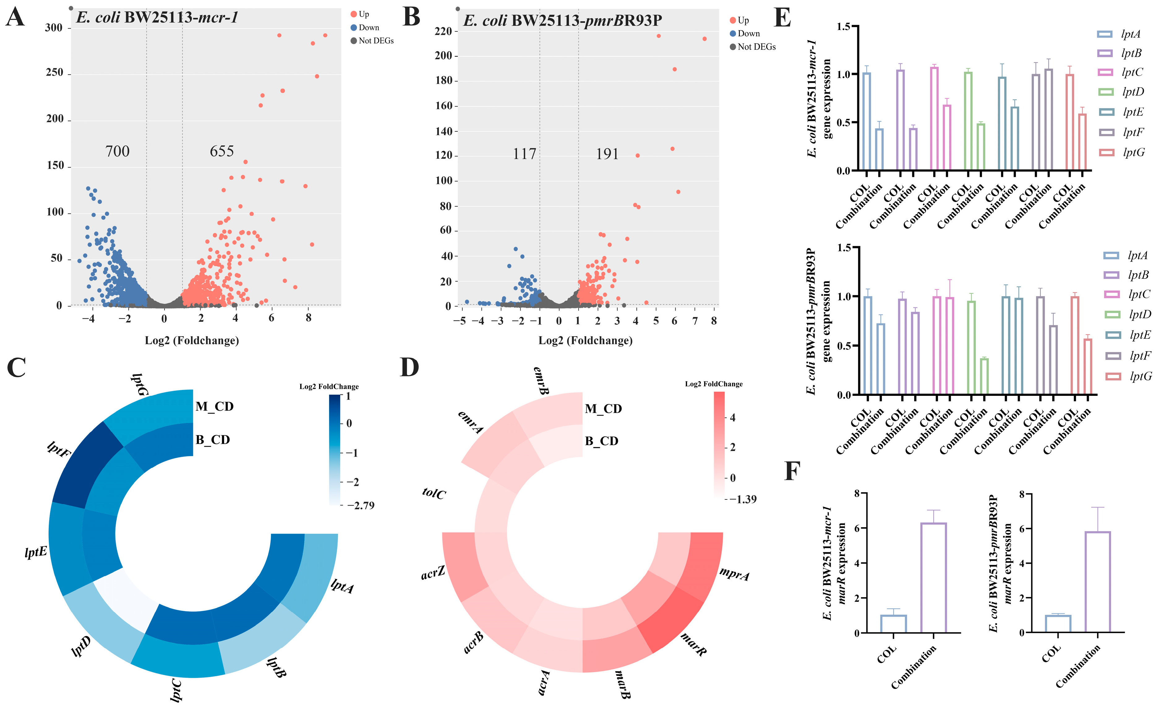 Antibiotics 15 00003 g003 Antibiotics 15 00003 g003