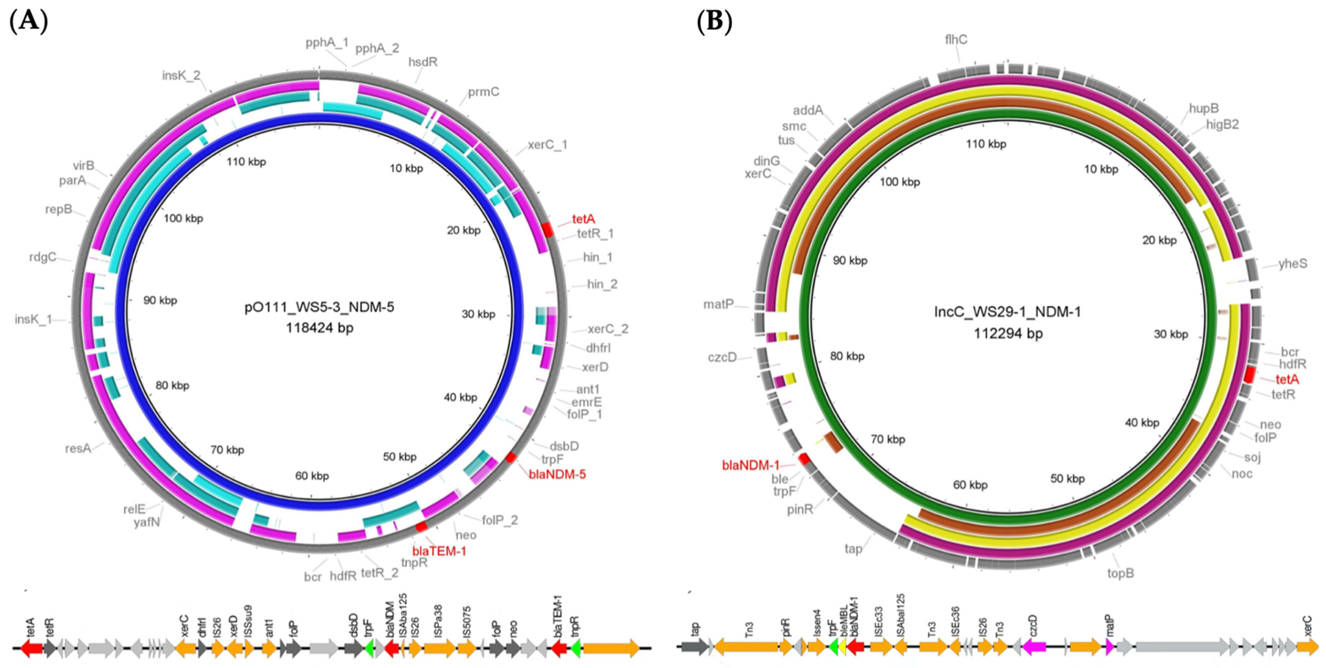 Antibiotics 15 00008 g001