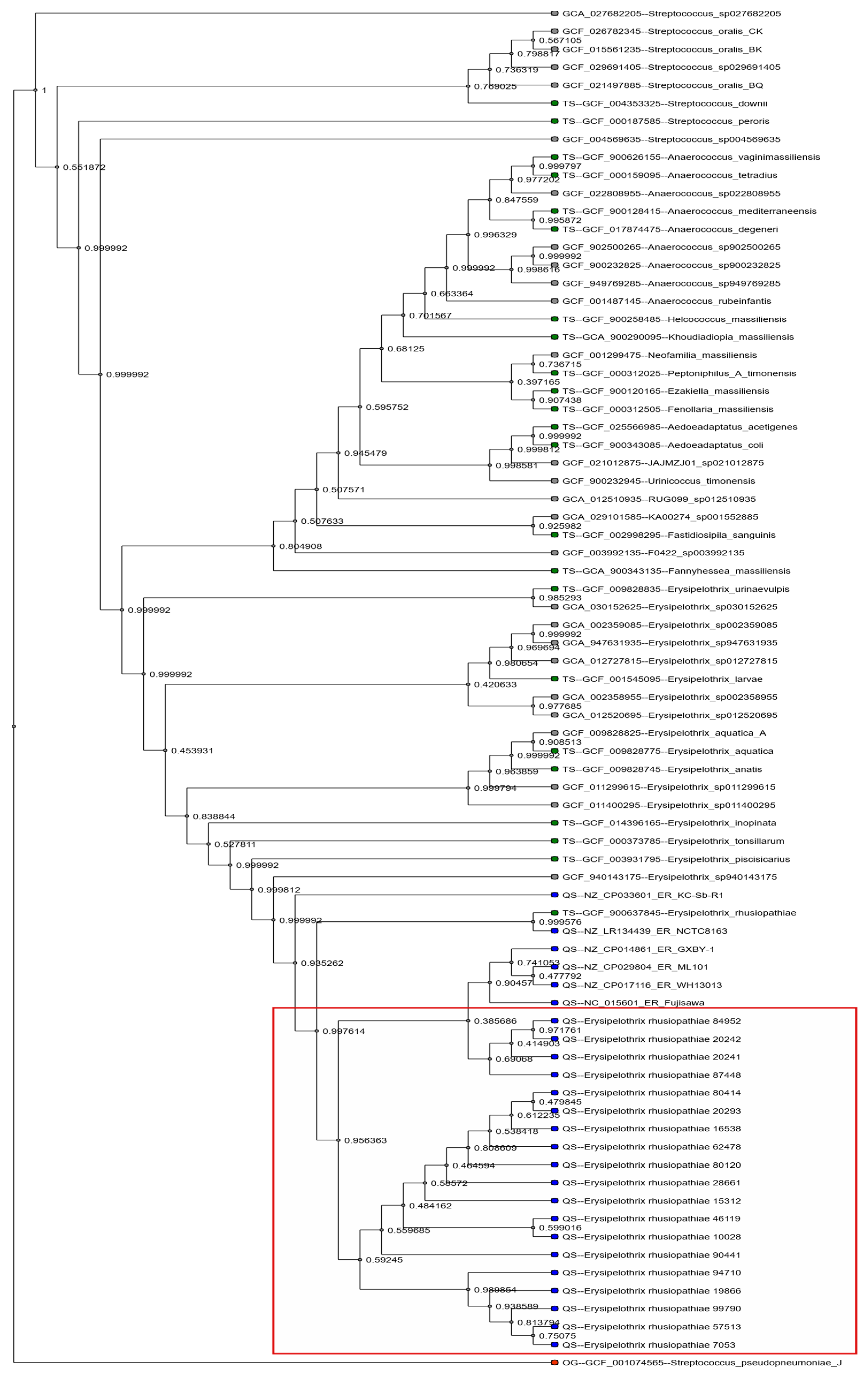 Antibiotics 15 00011 g002