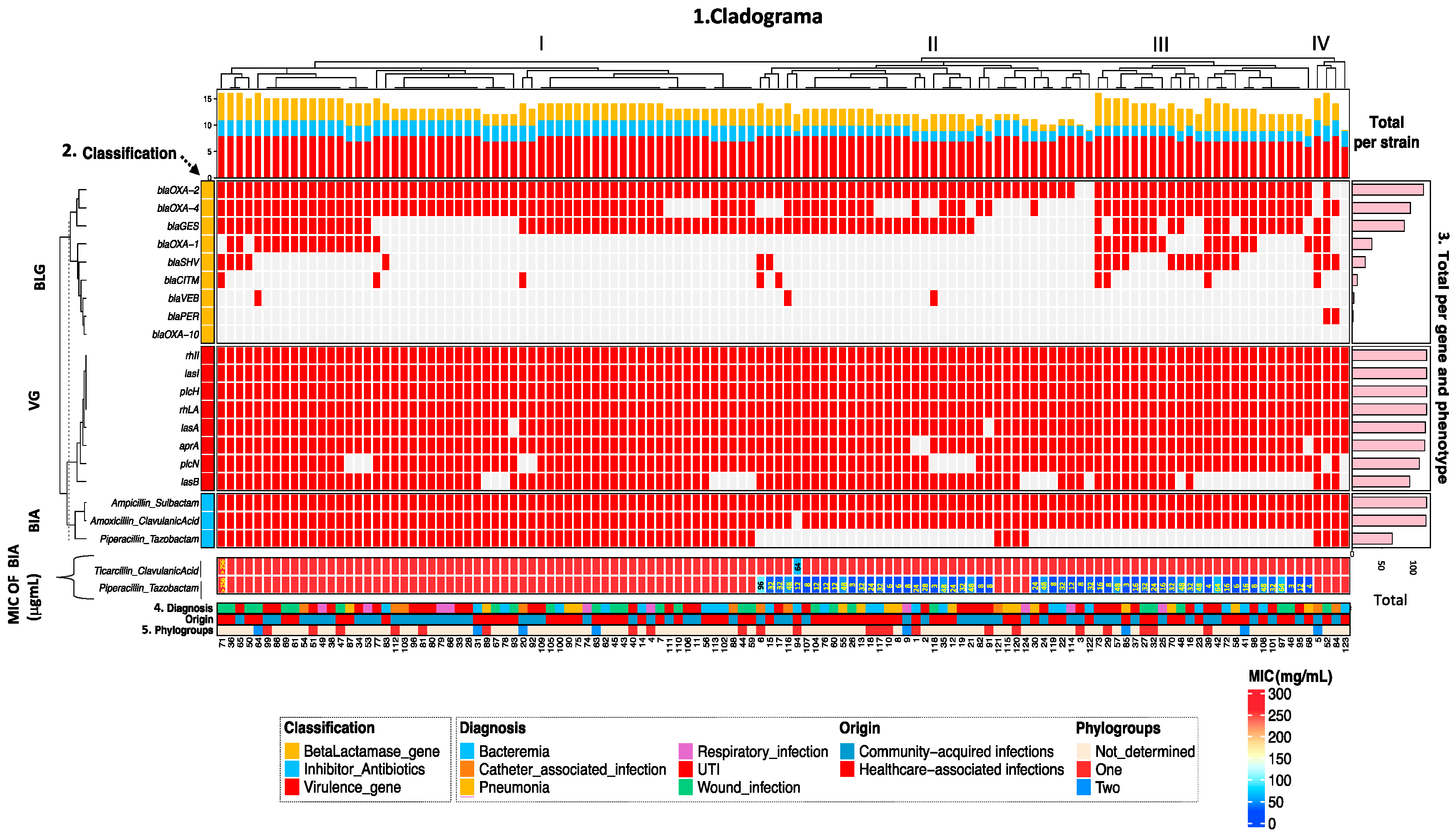 Antibiotics 15 00016 g001 Antibiotics 15 00016 g001