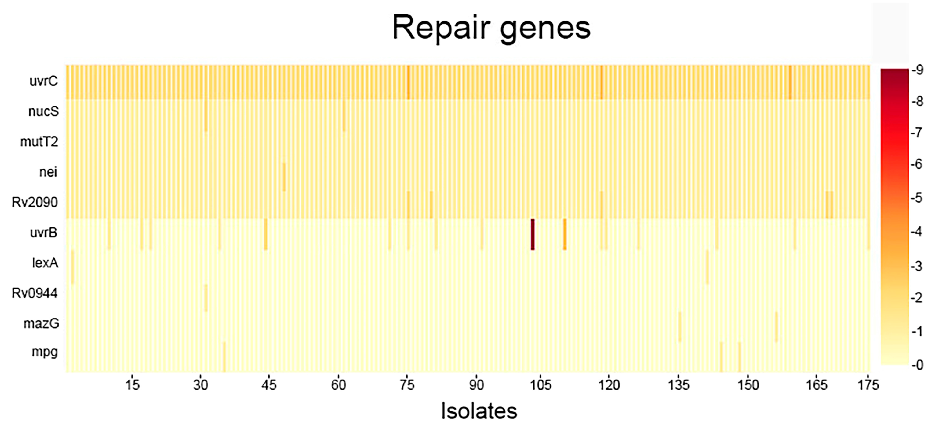 Antibiotics 15 00026 g004 Antibiotics 15 00026 g004