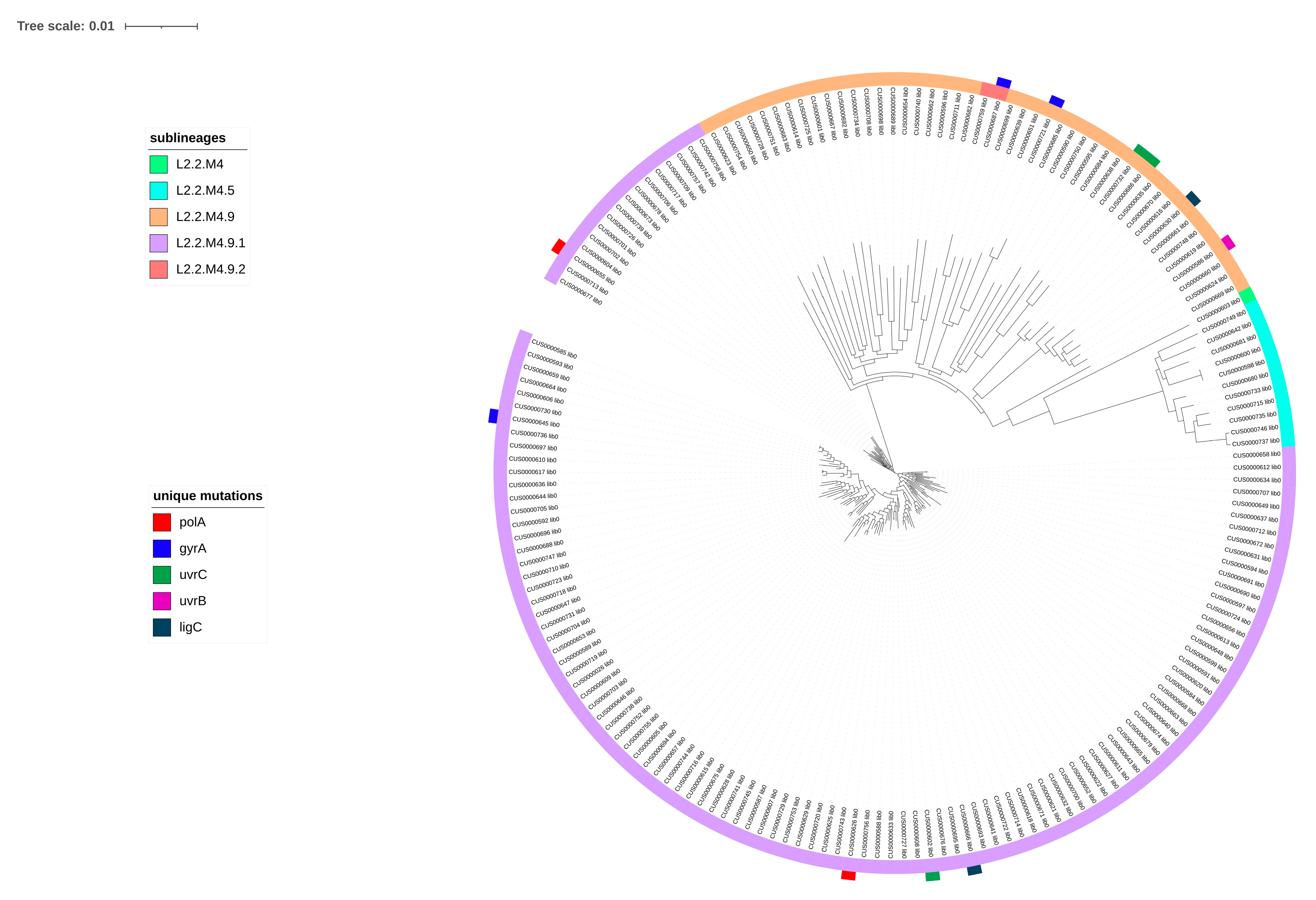 Antibiotics 15 00026 g006 Antibiotics 15 00026 g006