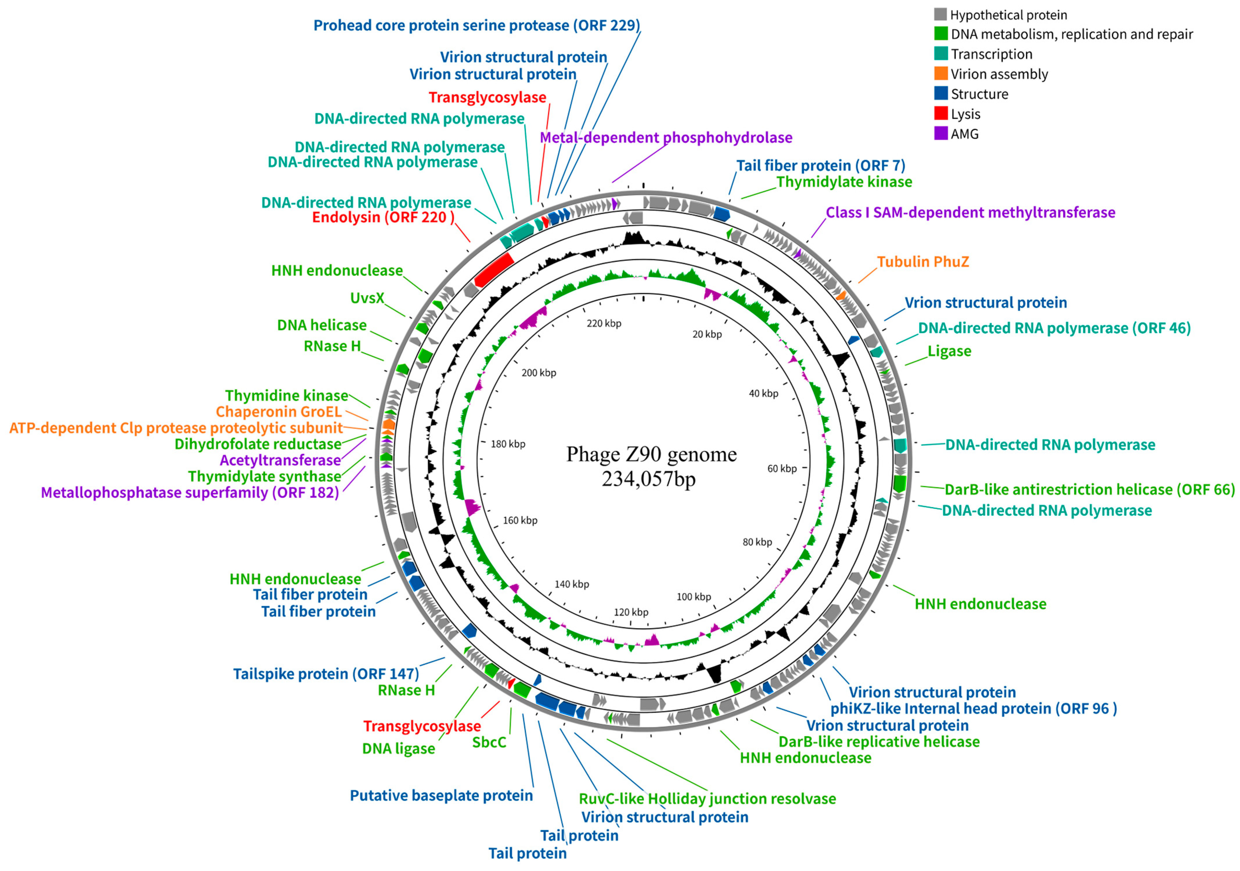 Antibiotics 15 00027 g003