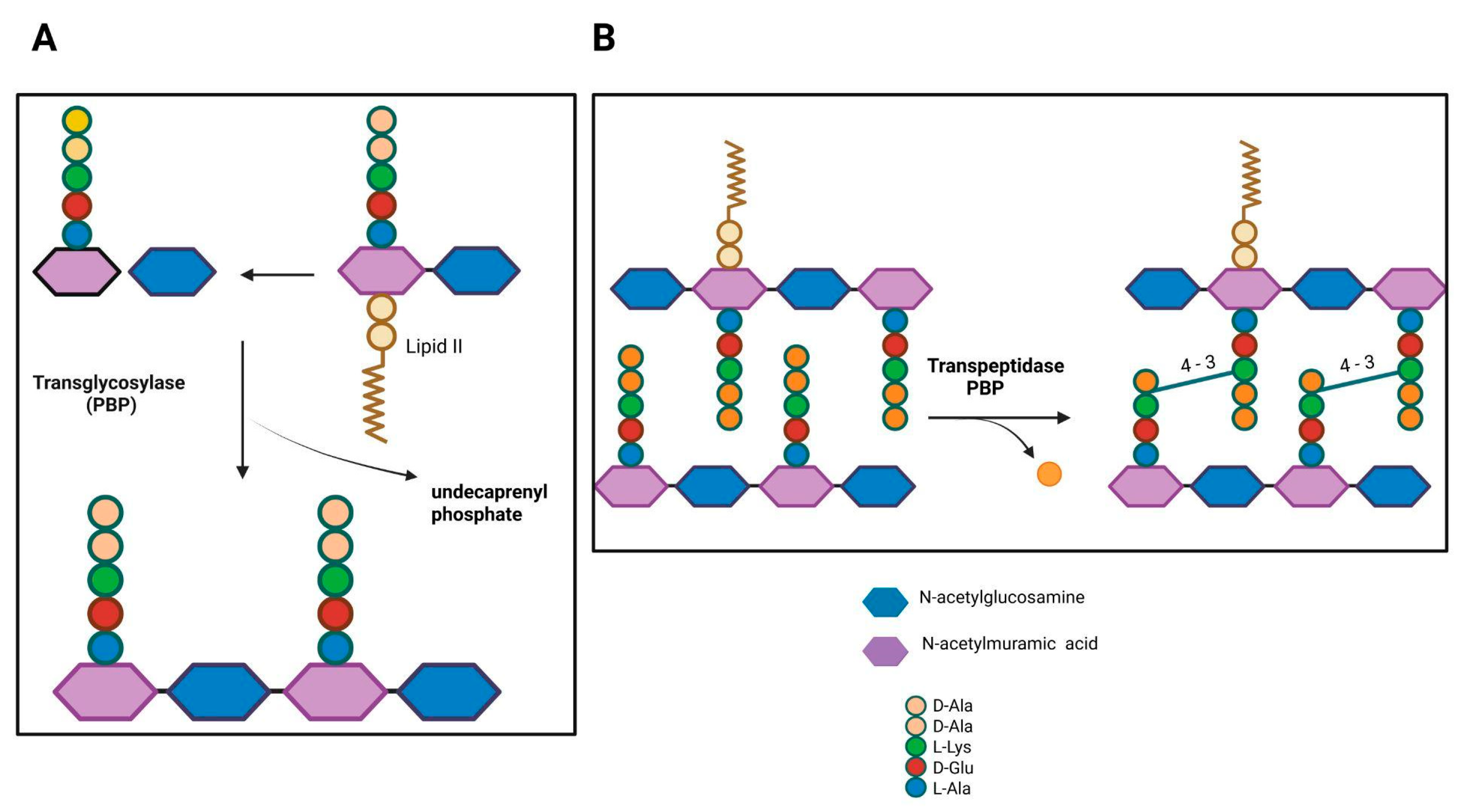 Antibiotics 15 00031 g001 Antibiotics 15 00031 g001