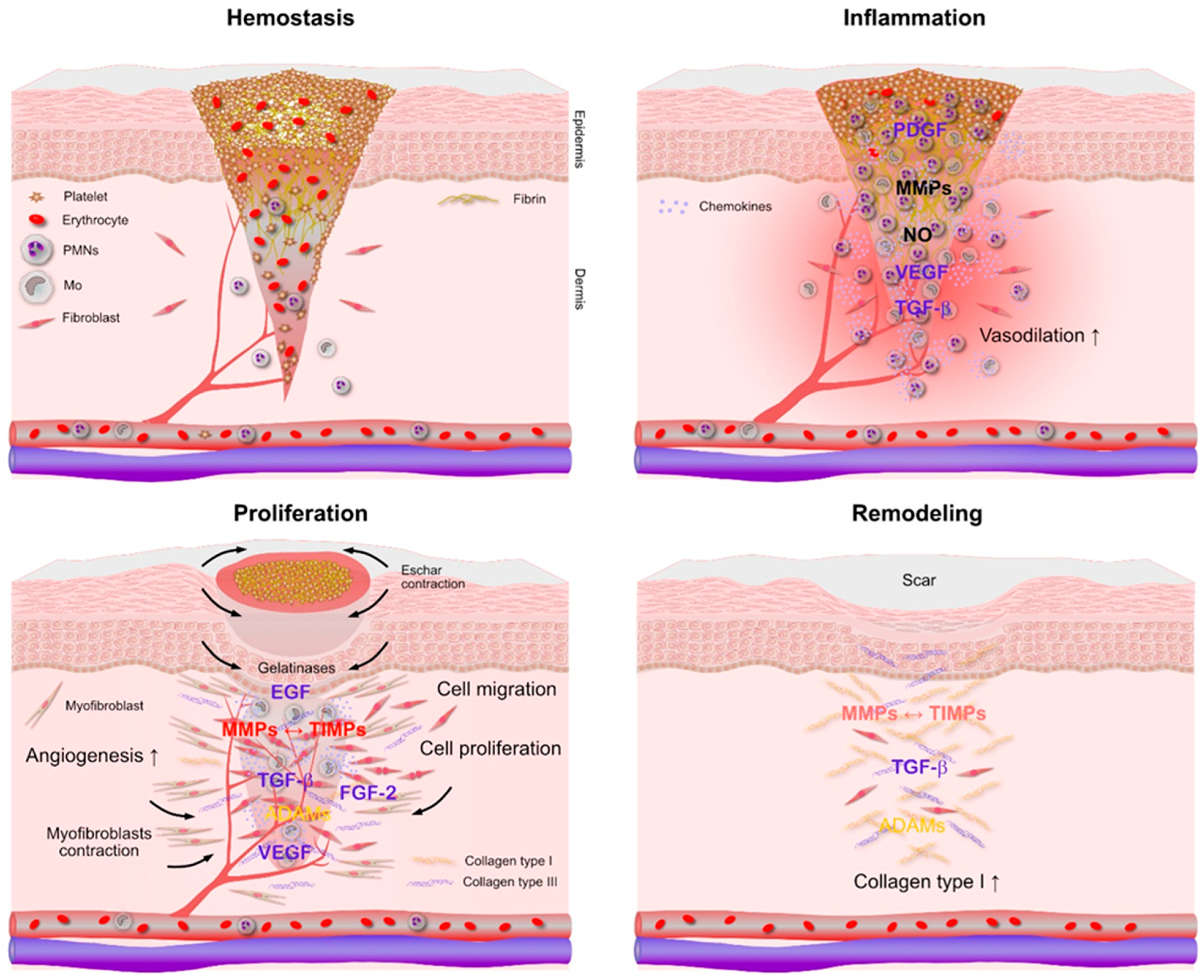 Antibiotics 15 00036 g001 Antibiotics 15 00036 g001