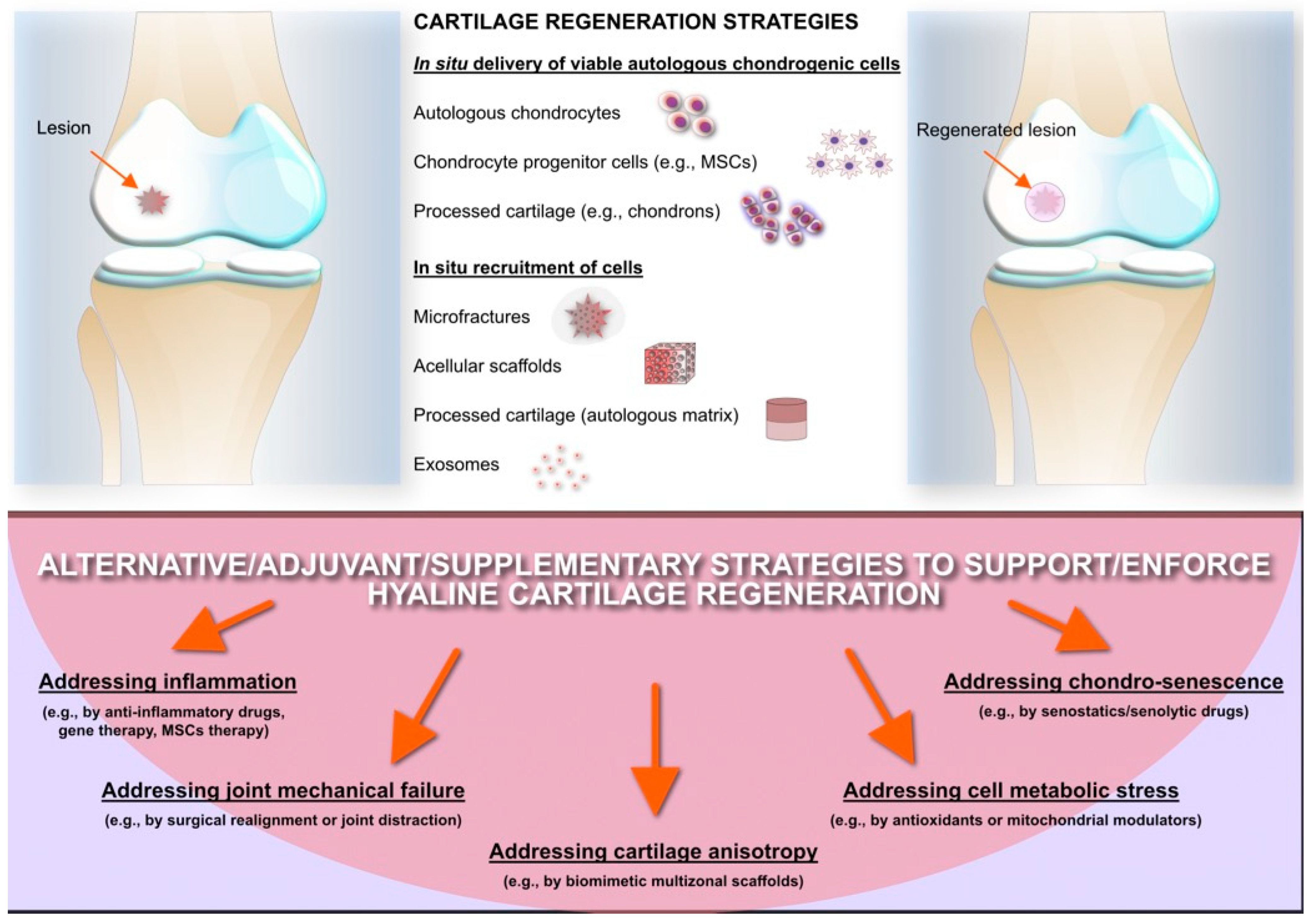 Antibiotics 15 00036 g003 Antibiotics 15 00036 g003
