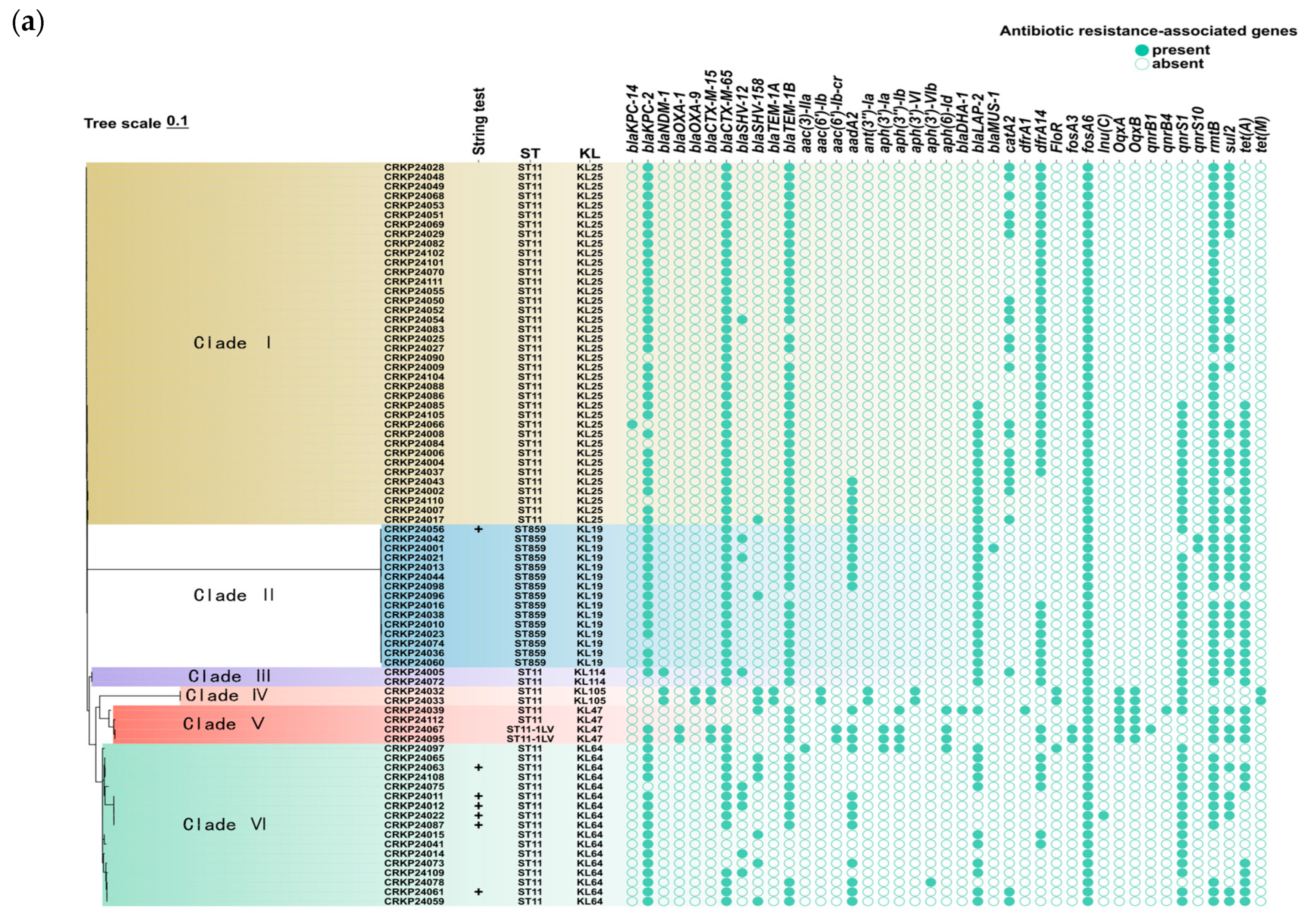 Antibiotics 15 00040 g003a