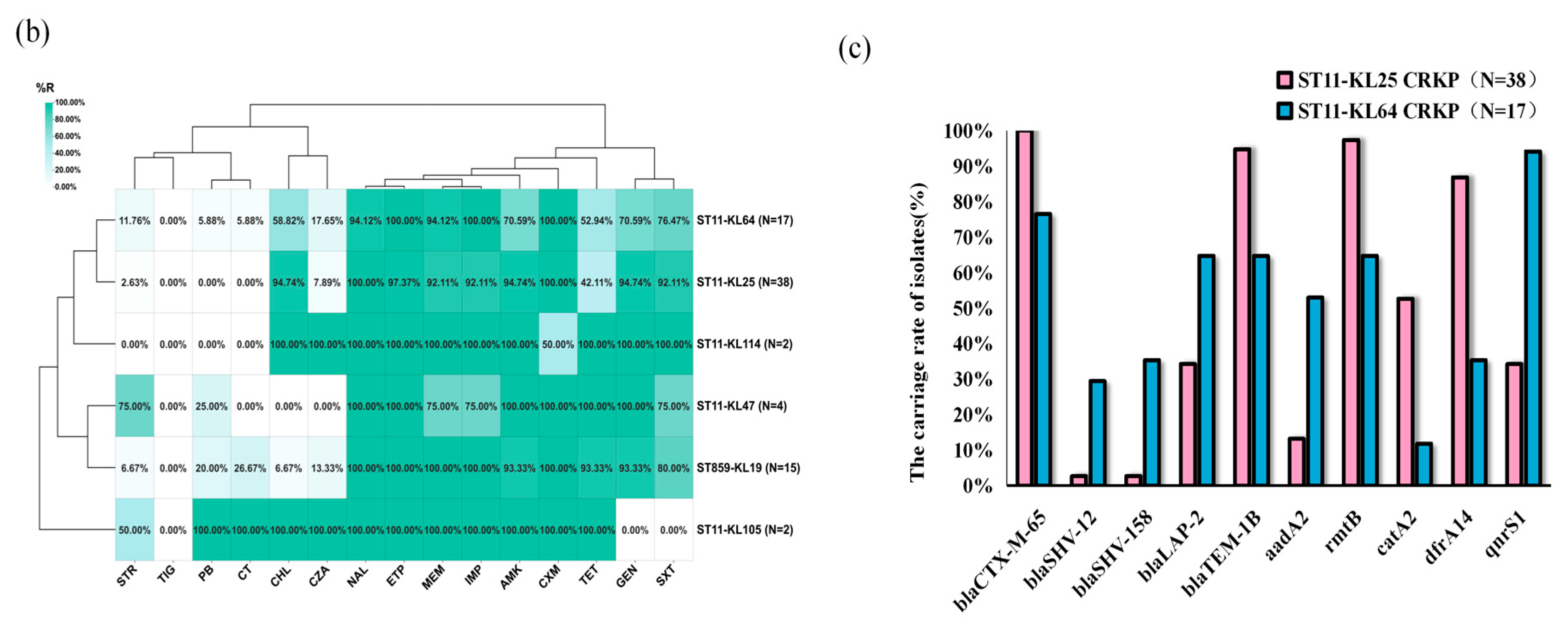 Antibiotics 15 00040 g003b