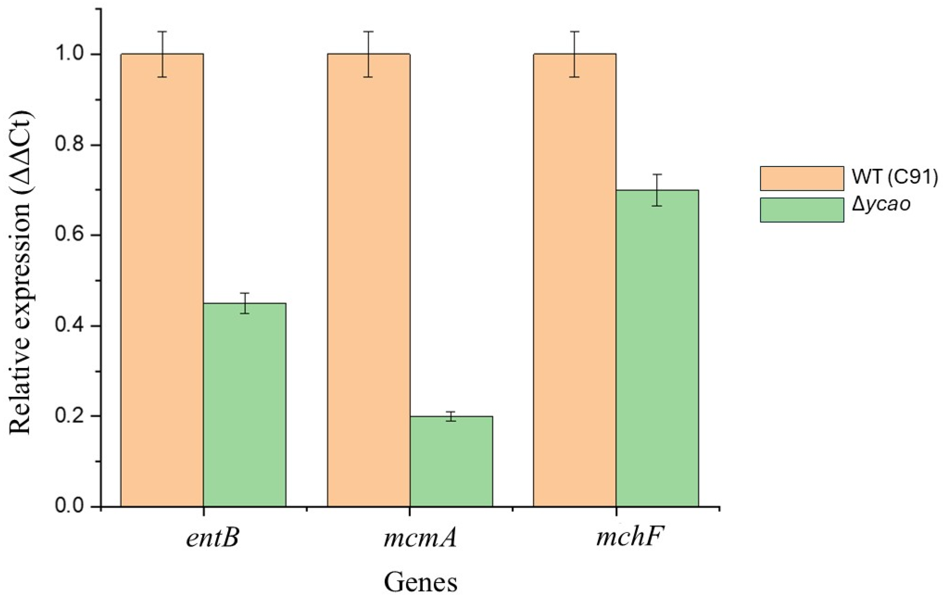 Antibiotics 15 00043 g004