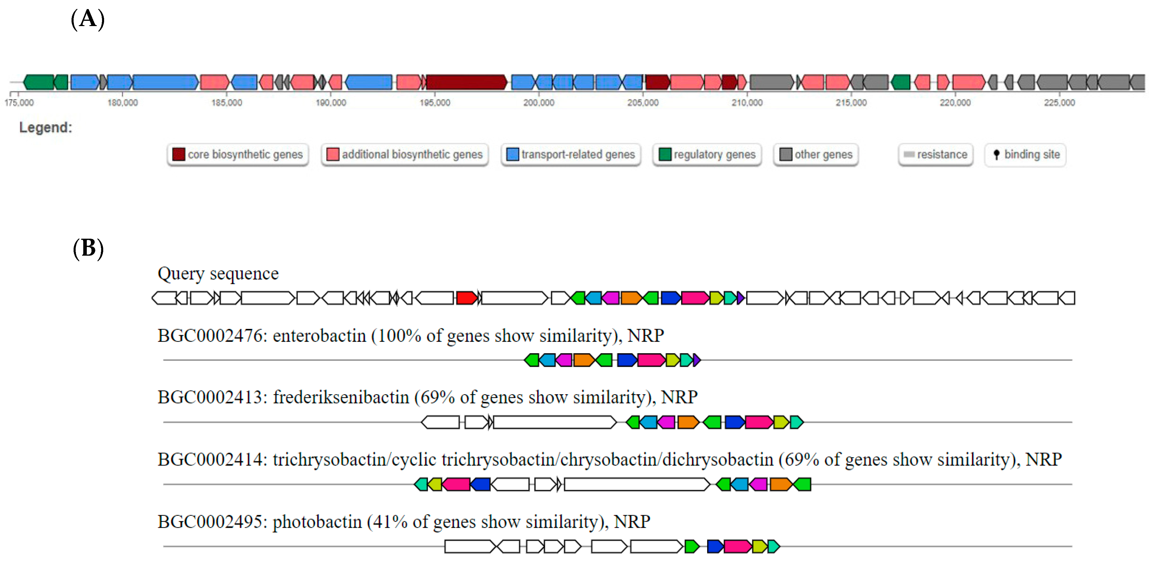 Antibiotics 15 00043 g005