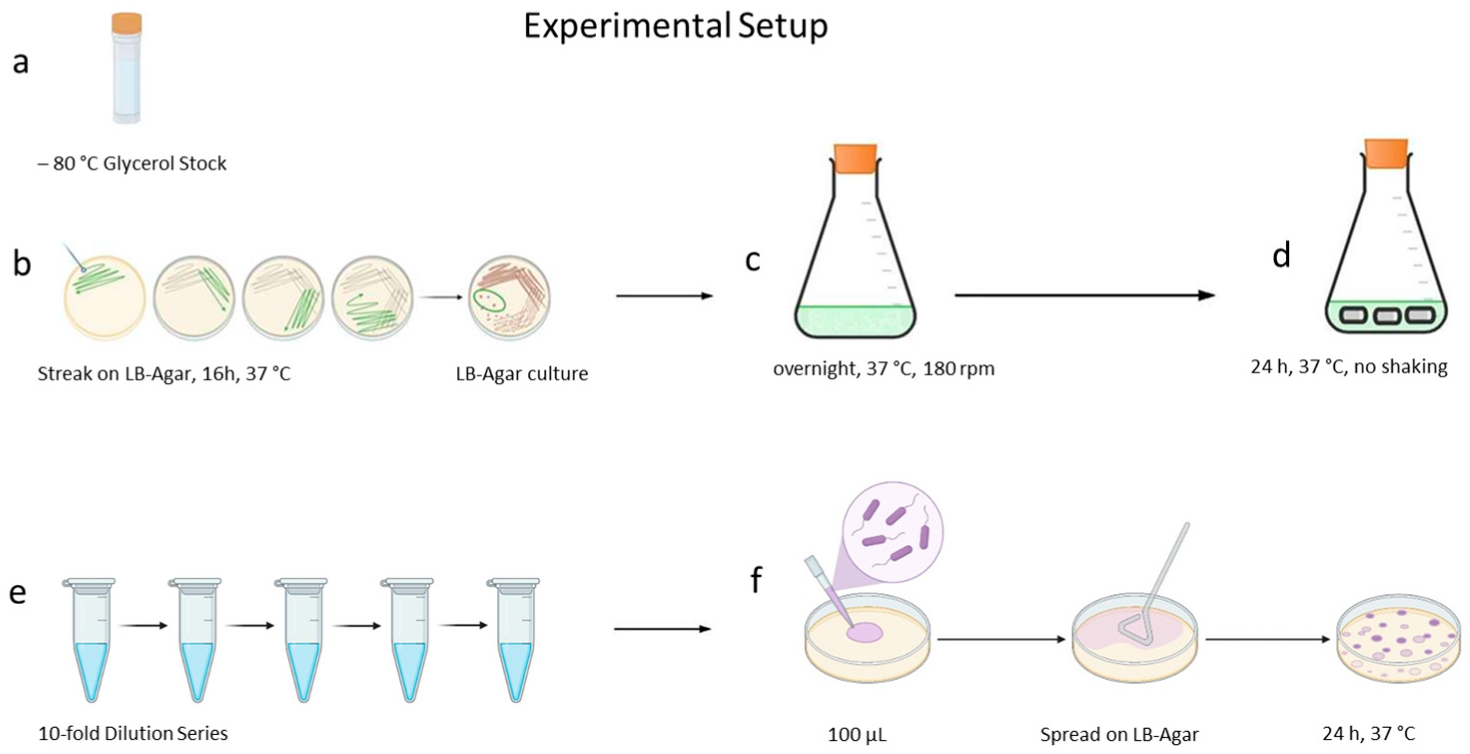 Antibiotics 15 00076 g004 Antibiotics 15 00076 g004