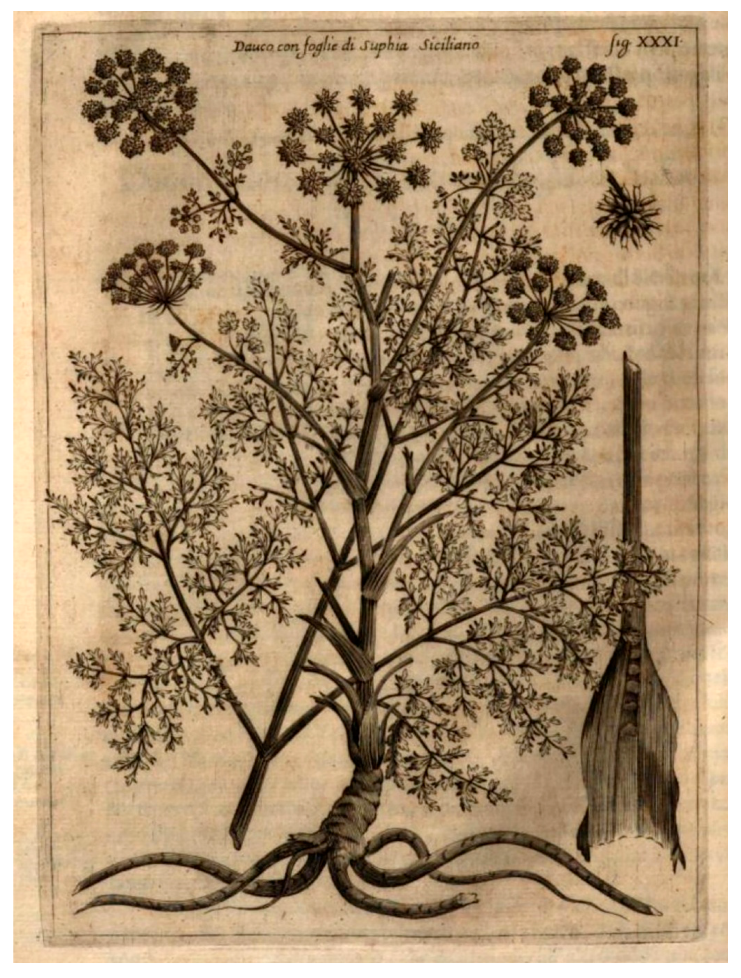 Antibiotics 15 00079 g002