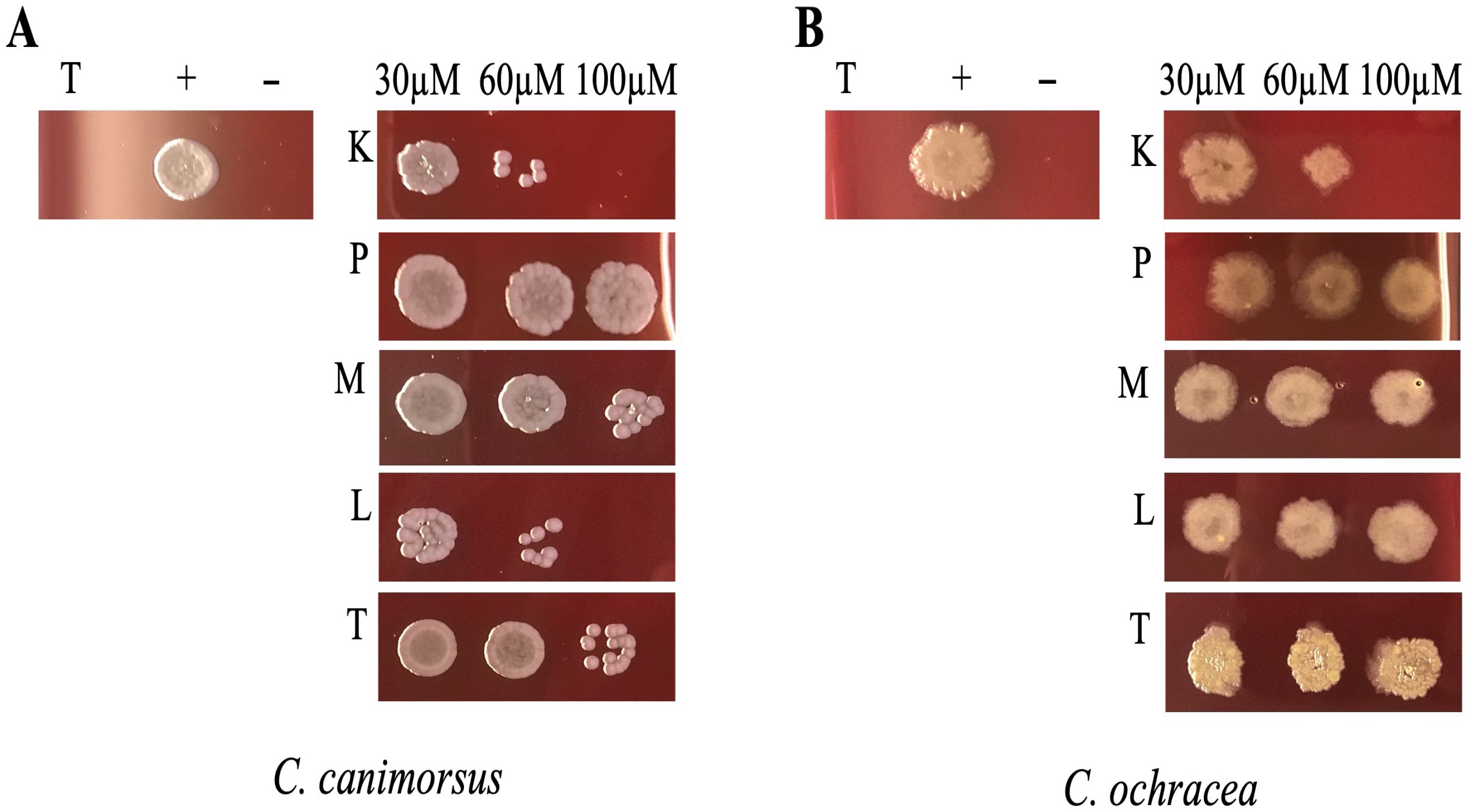 Antibiotics 15 00080 g002