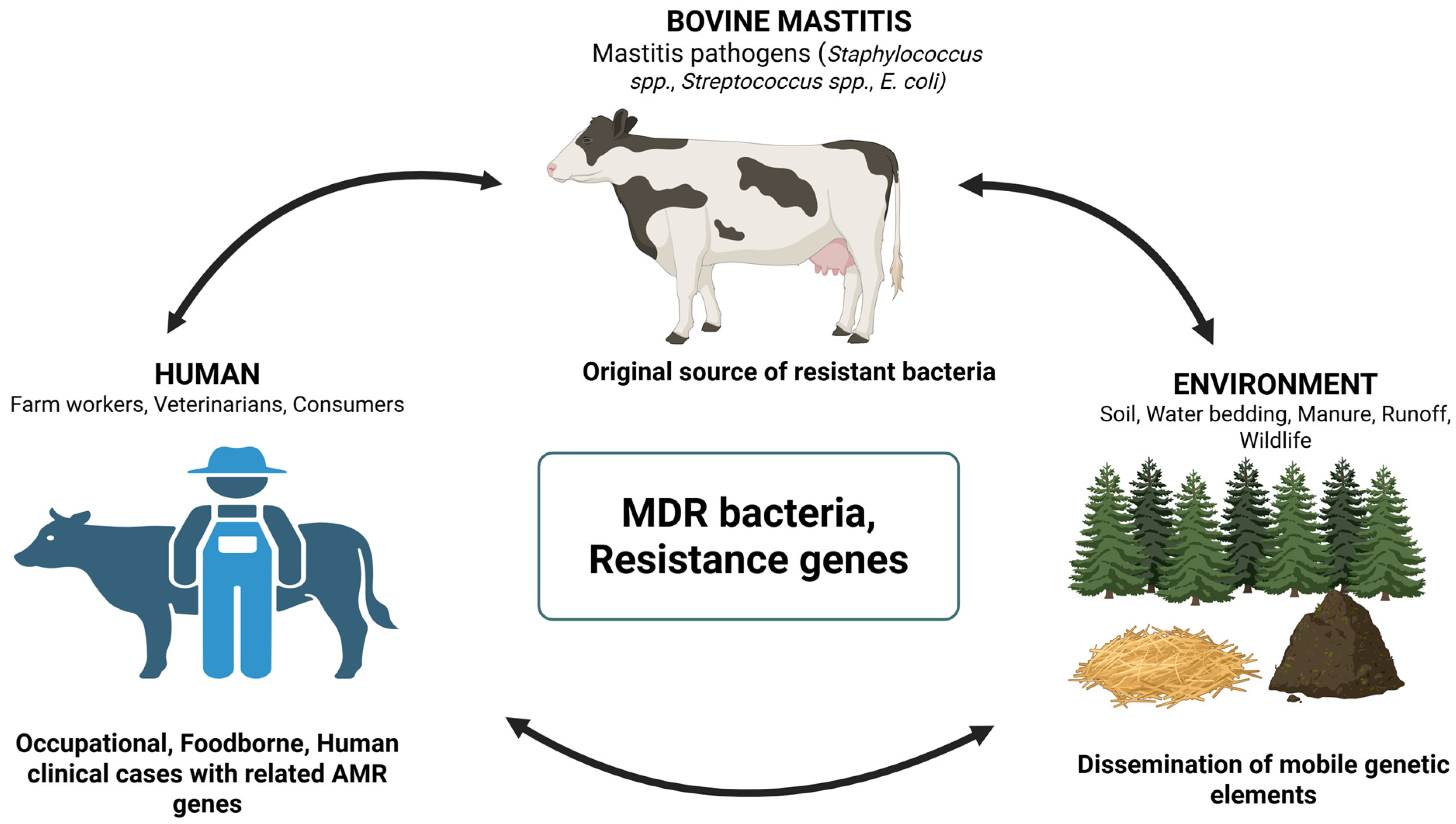 Antibiotics 15 00084 g001