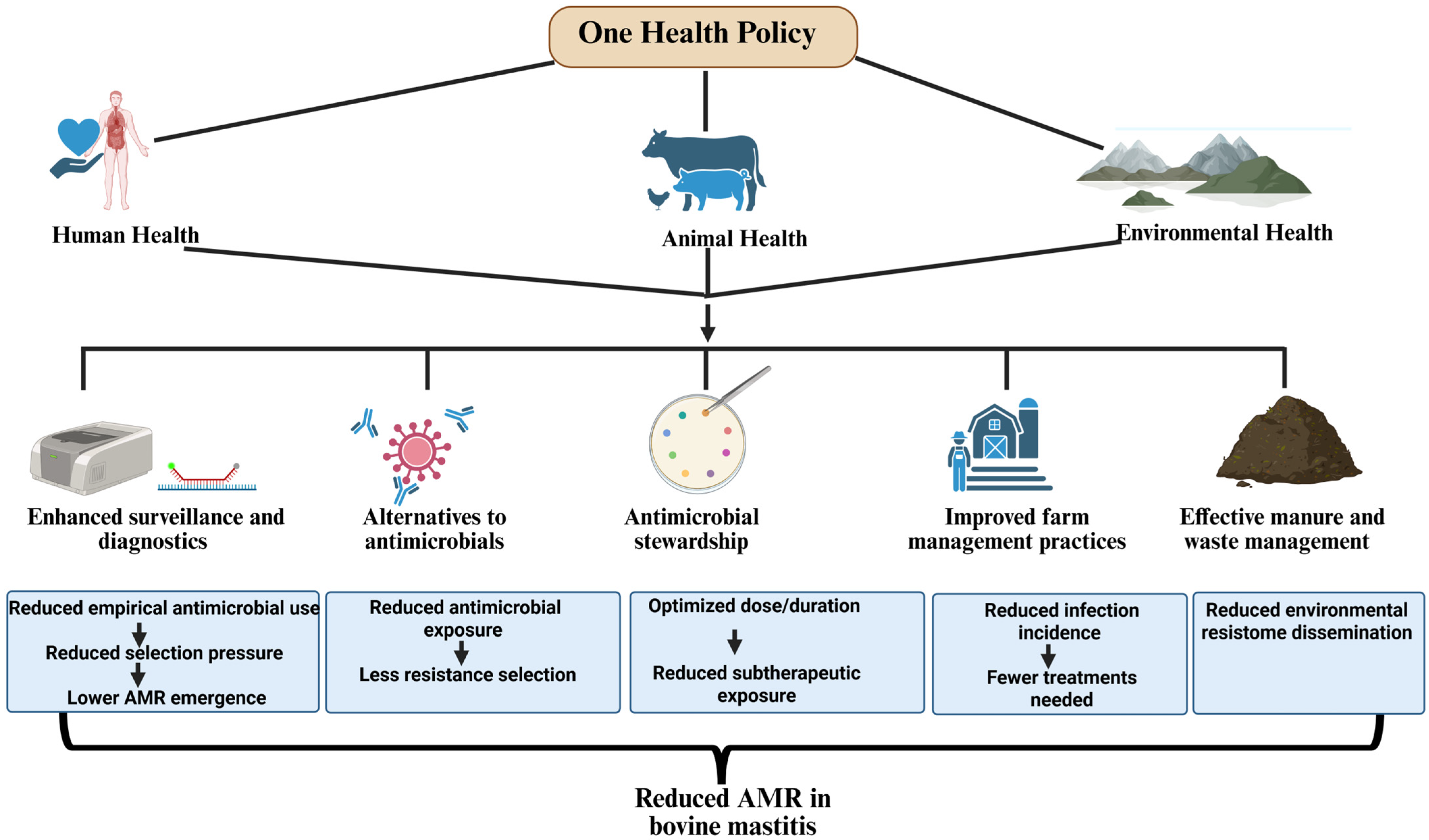 Antibiotics 15 00084 g002
