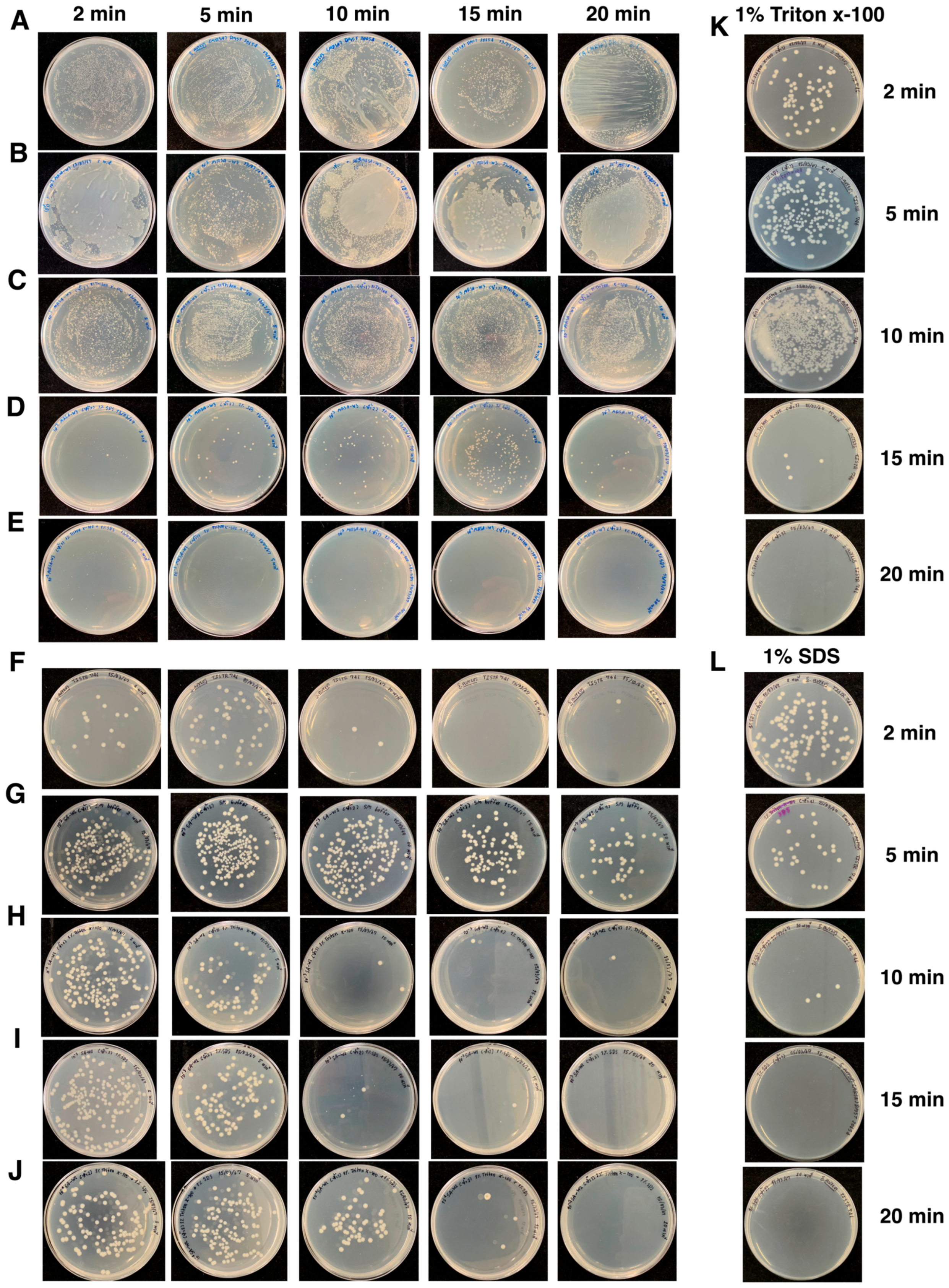Antibiotics 15 00155 g003 Antibiotics 15 00155 g003