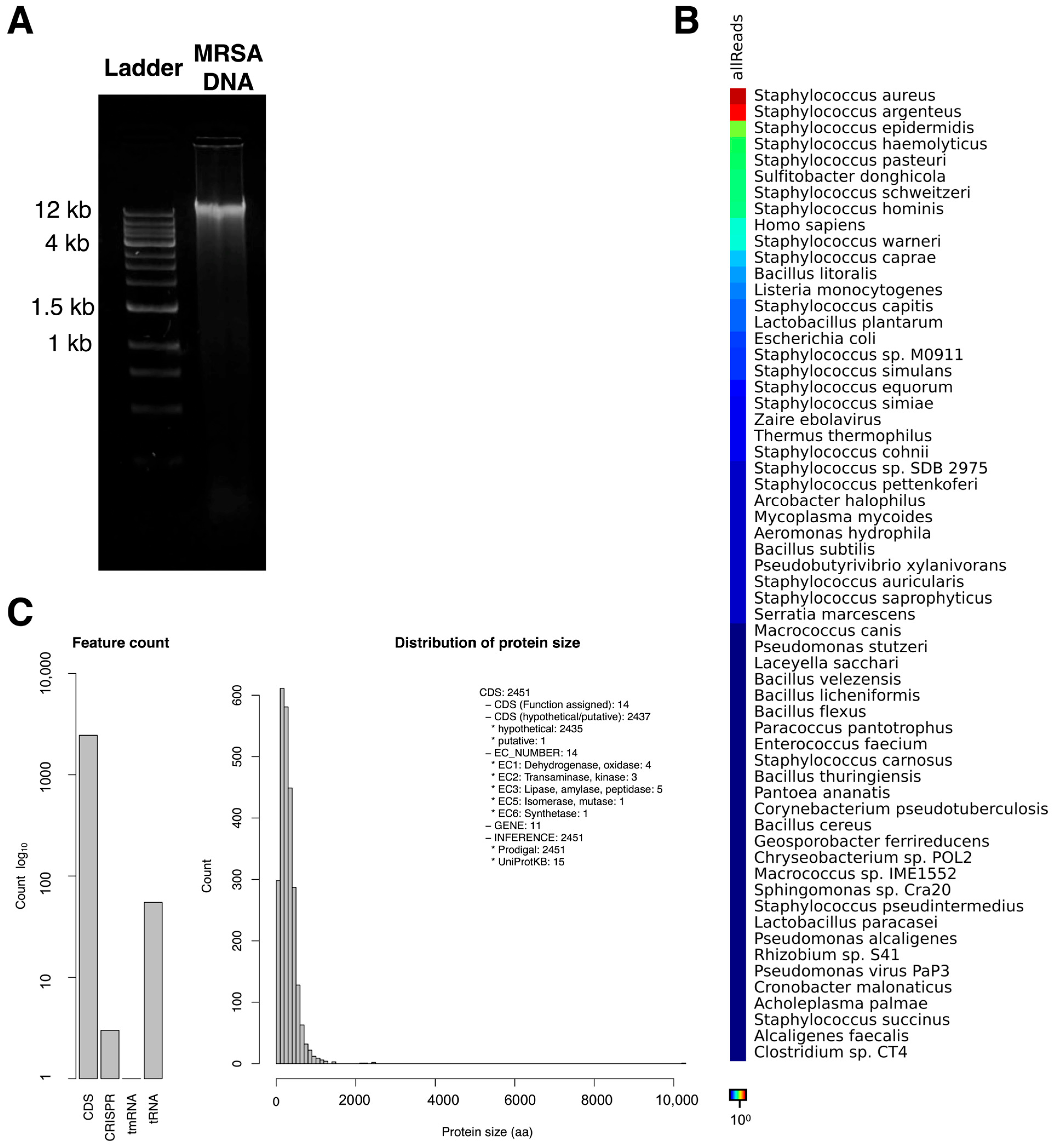 Antibiotics 15 00155 g004 Antibiotics 15 00155 g004