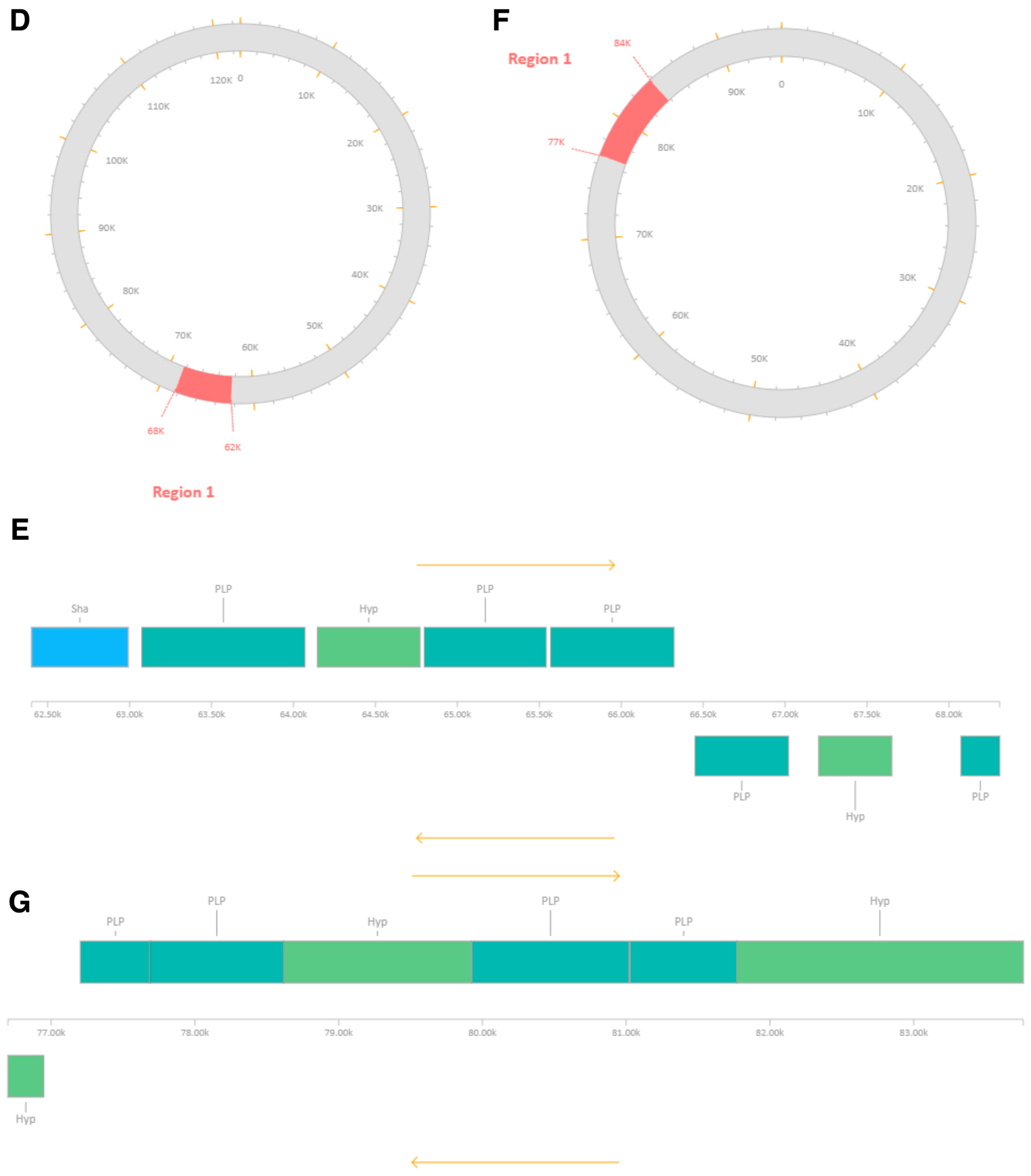 Antibiotics 15 00155 g005b Antibiotics 15 00155 g005b