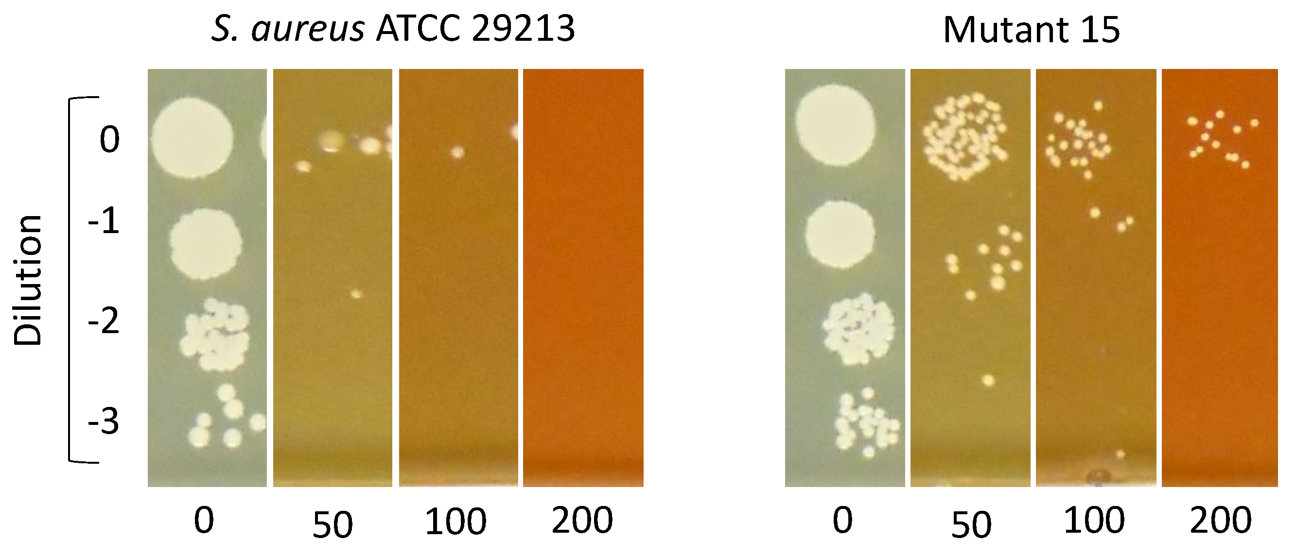 Antibiotics 15 00321 g003 Antibiotics 15 00321 g003