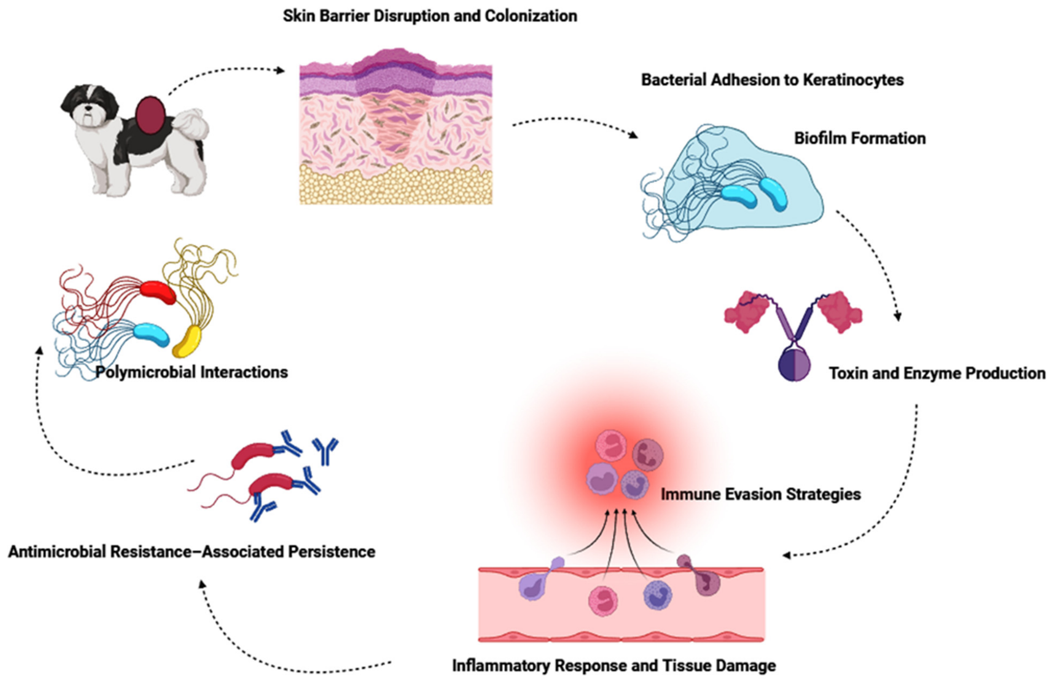 Antibiotics 15 00515 g002 Antibiotics 15 00515 g002