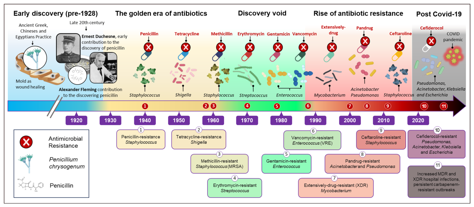 Antibiotics 15 00564 g001