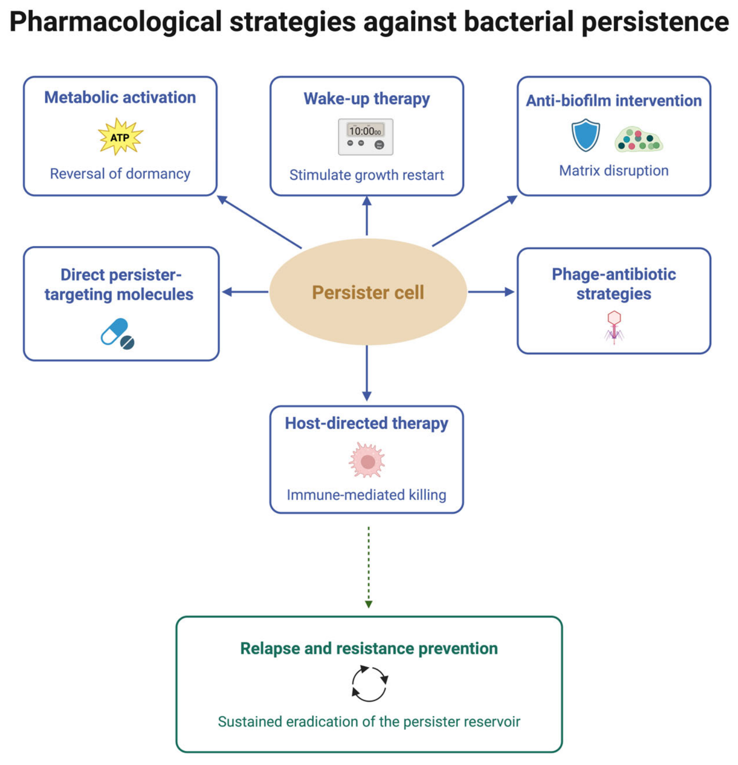 Antibiotics 15 00691 g005