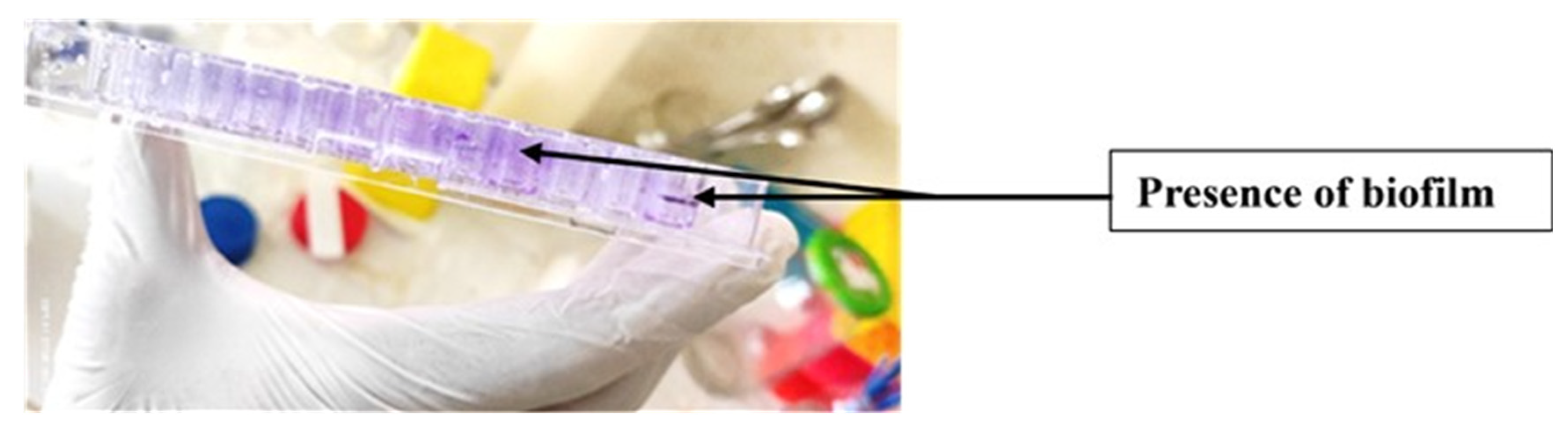 Antibiotics 15 00736 g005 Antibiotics 15 00736 g005